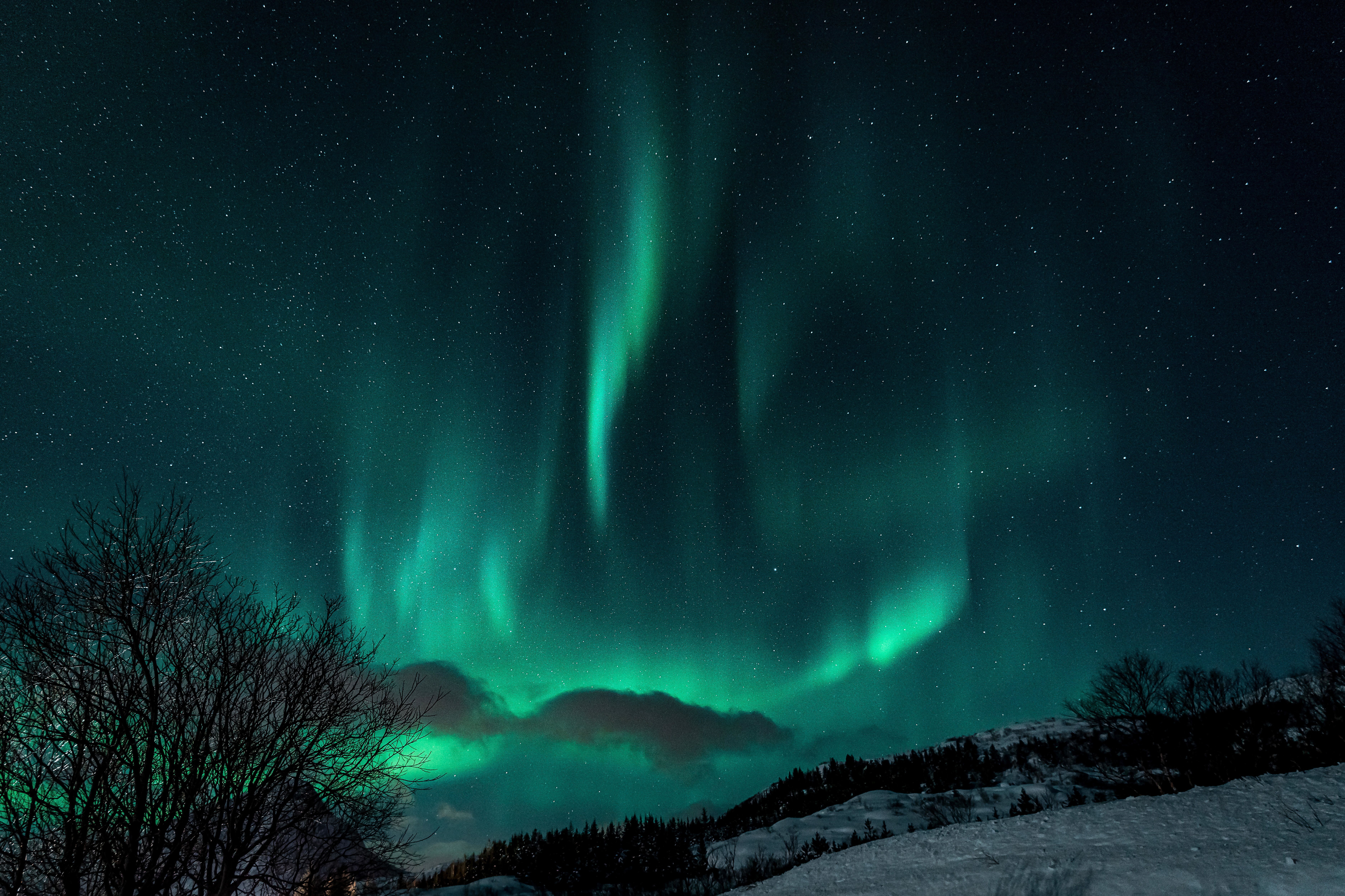 Phone wallpaper: Aurora Borealis, Earth, Snow, Night 1206191