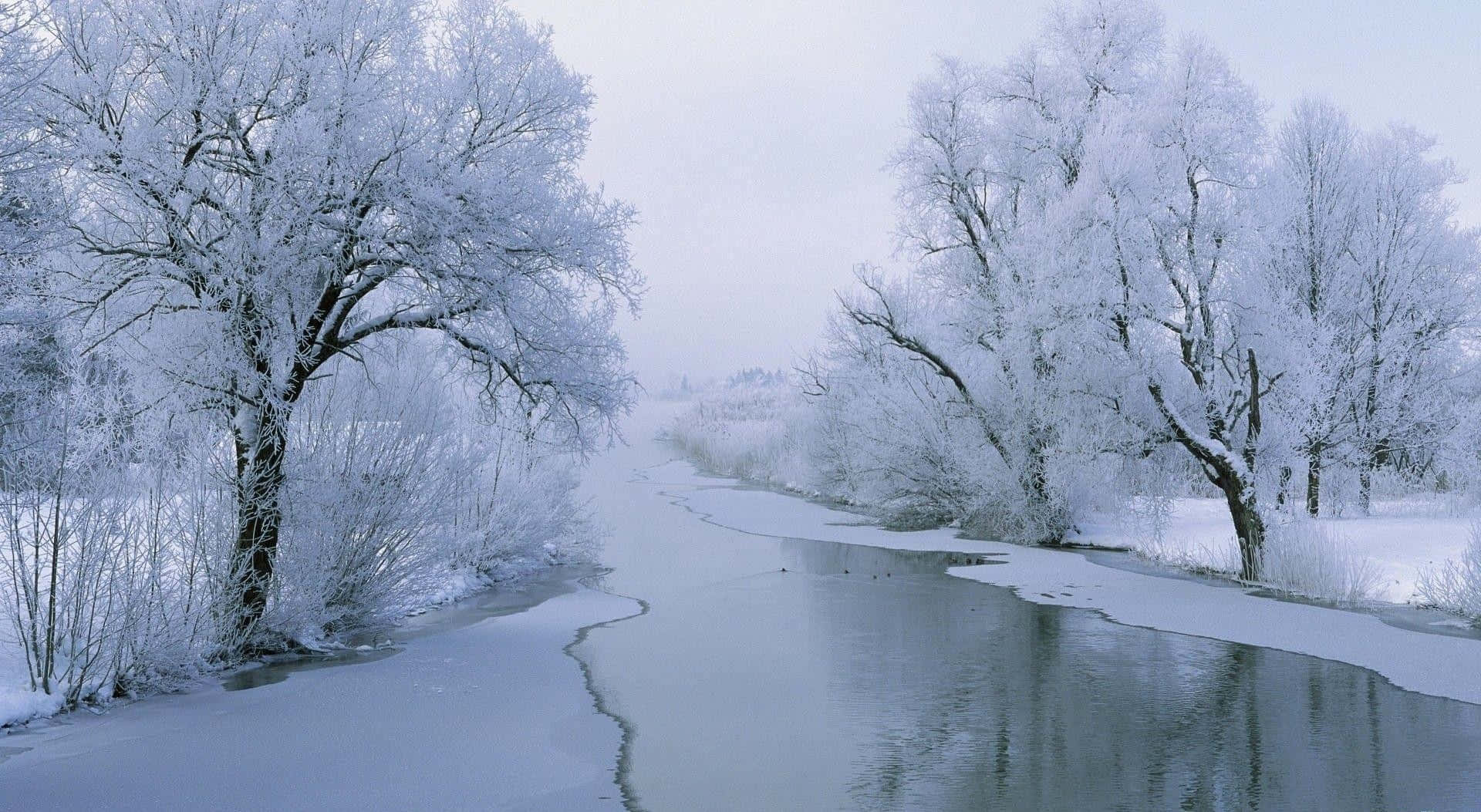 Download Calm Frozen Lake White HD Winter Background