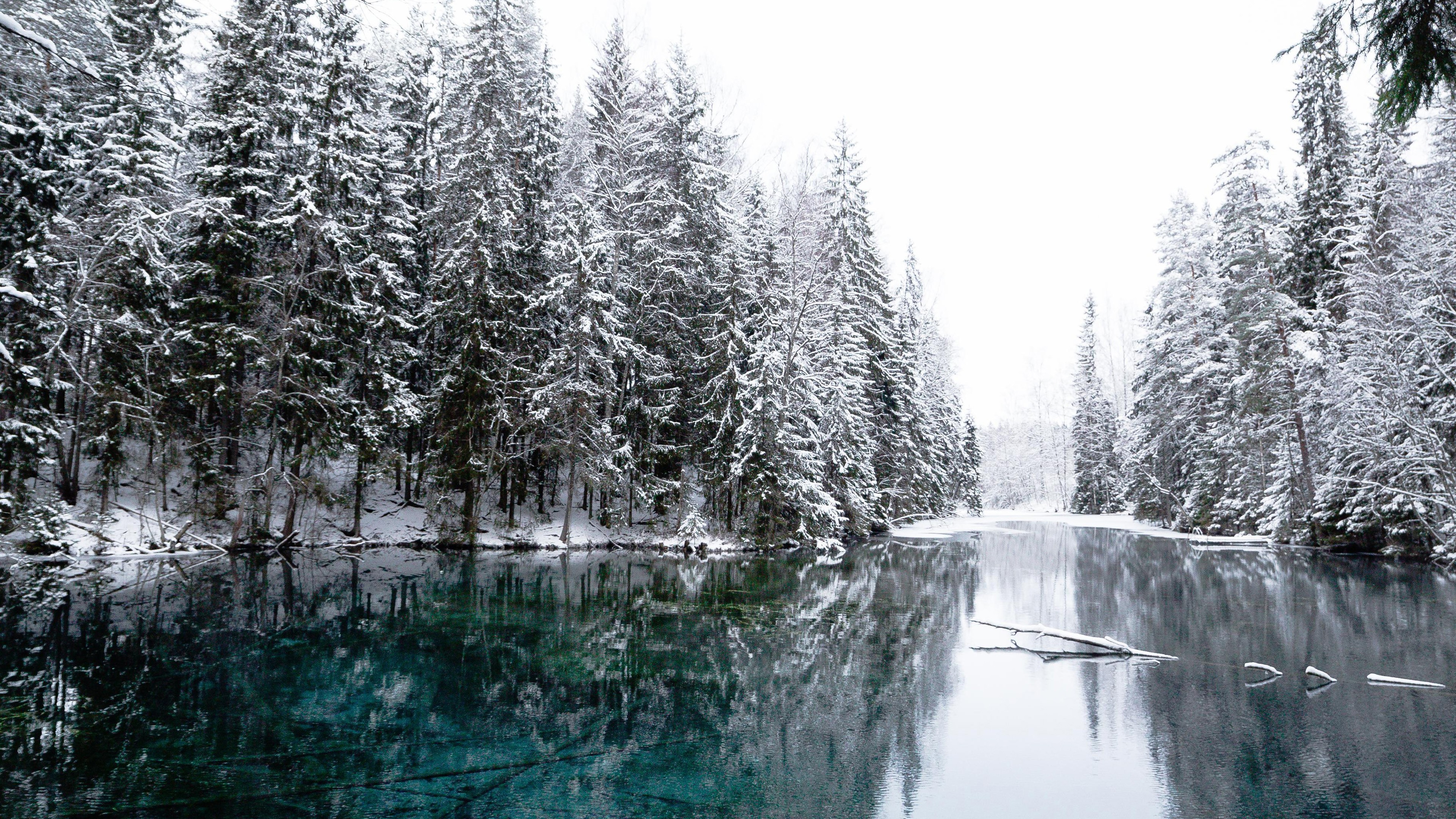 Beautiful Snow Mist Covered Trees Forest Reflection On Calm Body Of Water Under White Sky 4K HD Winter Wallpaper