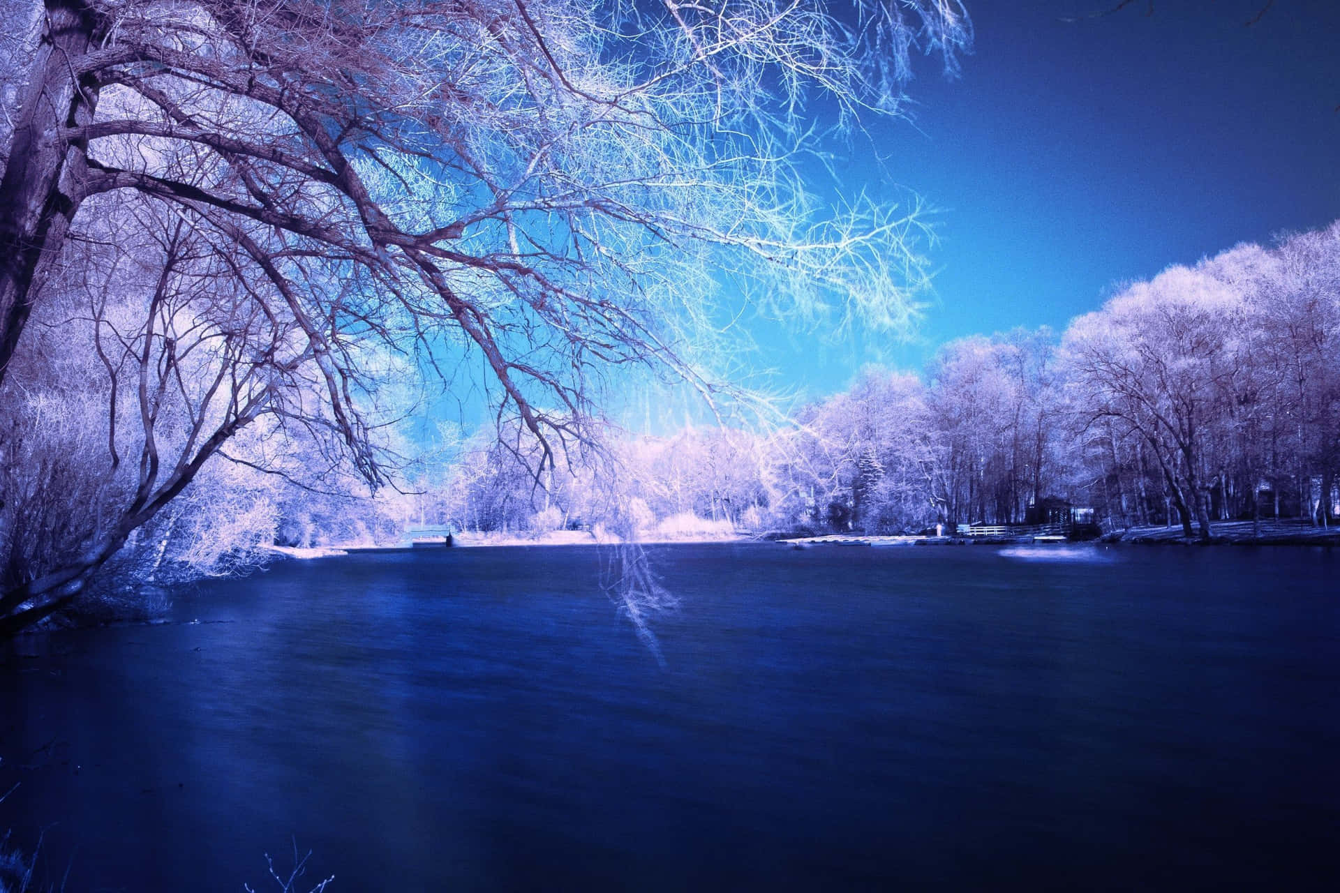 Download Snowy landscape with trees and blue sky Wallpaper