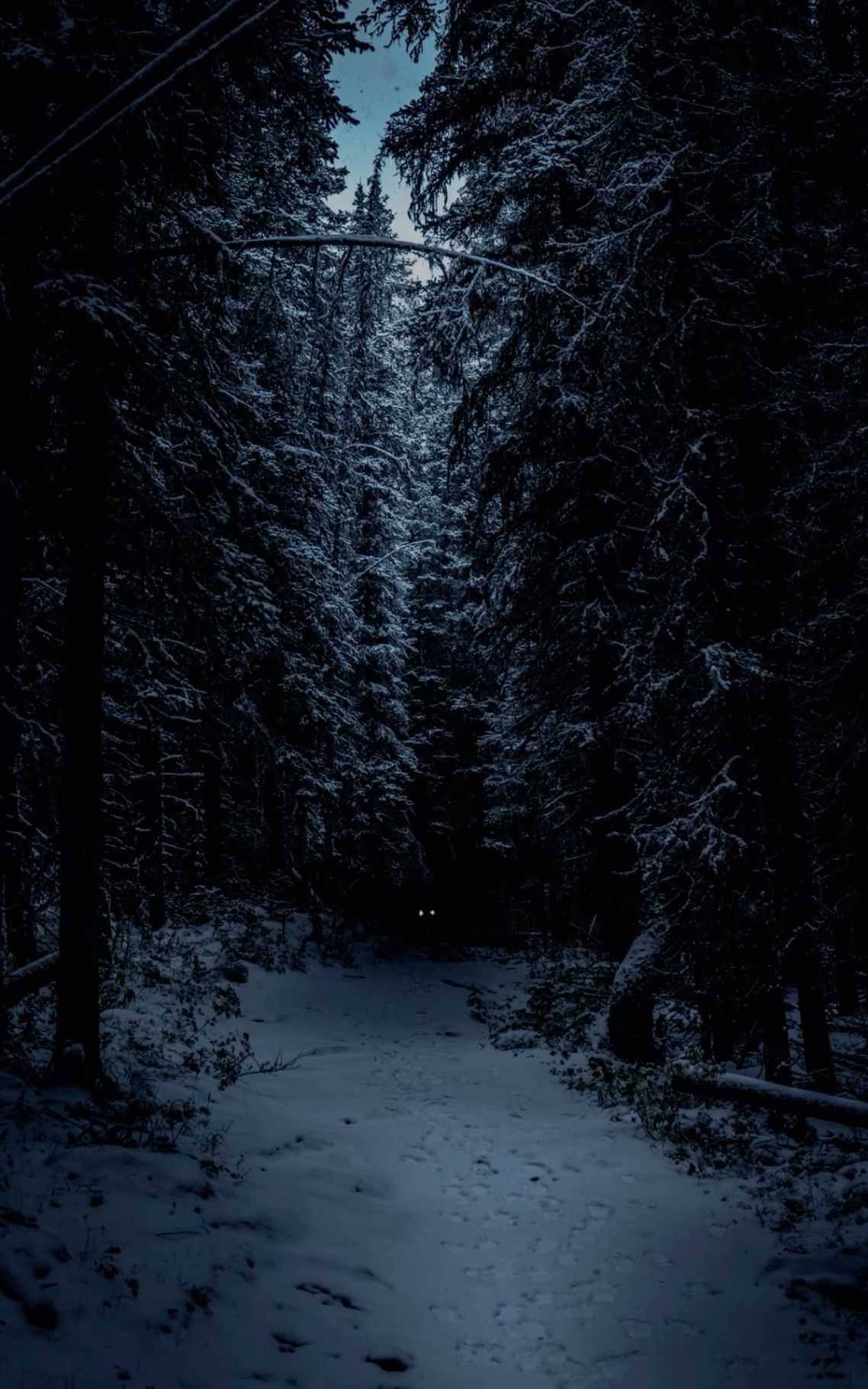 Dark winter ideas. dark winter, winter scenery, scenery