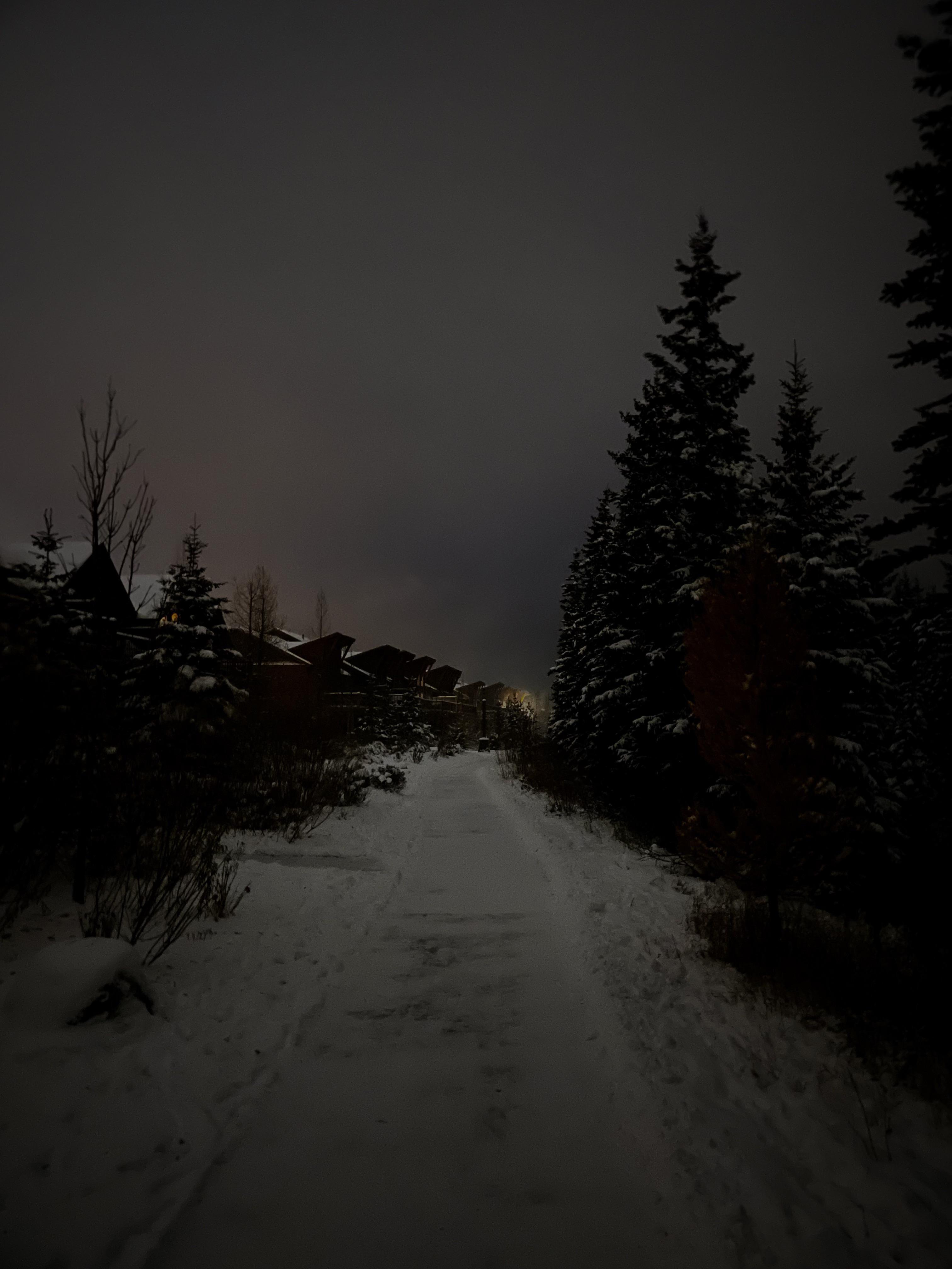 Where can I find more dark winter forests??