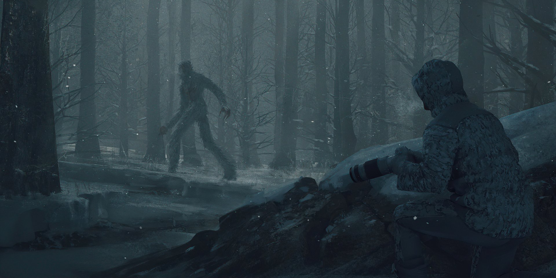 Dark Forest Encounter: Creature Captured on Camera HD Wallpaper