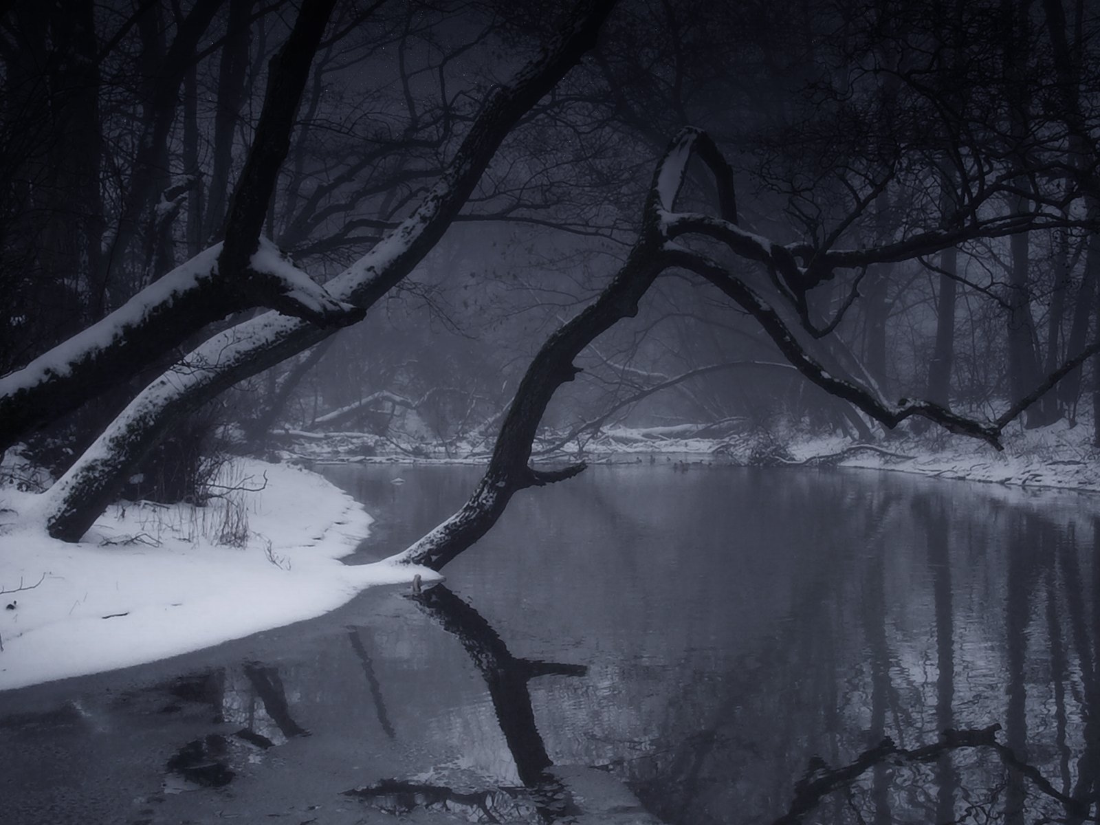 Winter Reflections: HD Wallpaper Of A Snowy Lake And Ice Covered Nature