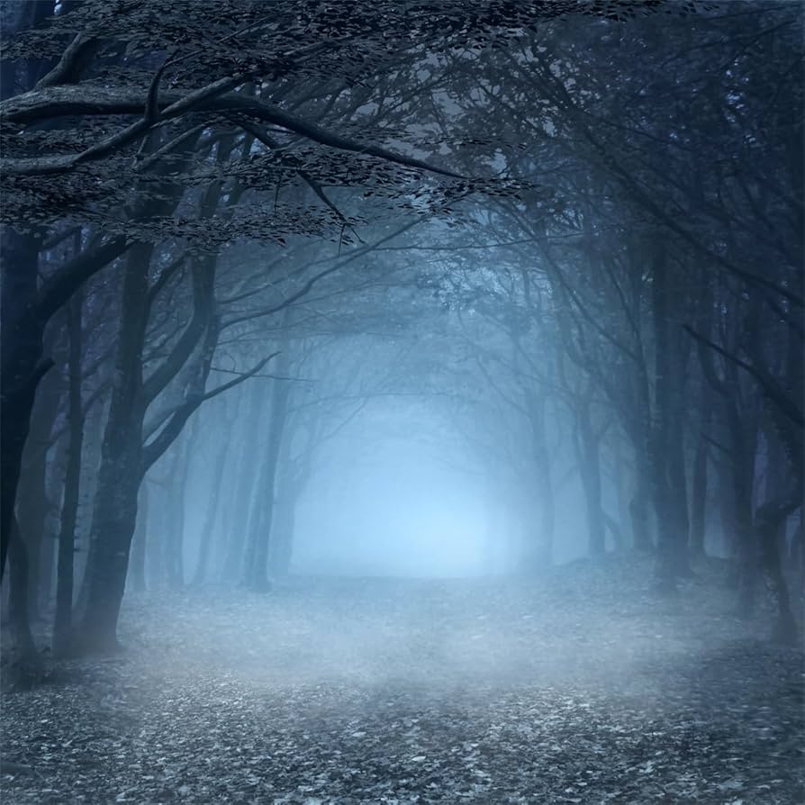 Amazon.com, Fmarui Large Halloween Backdrop 8x8ft Spooky Forest Photography Background for Halloween Theme Party Decor, Kids & Adults Photo Booth Props