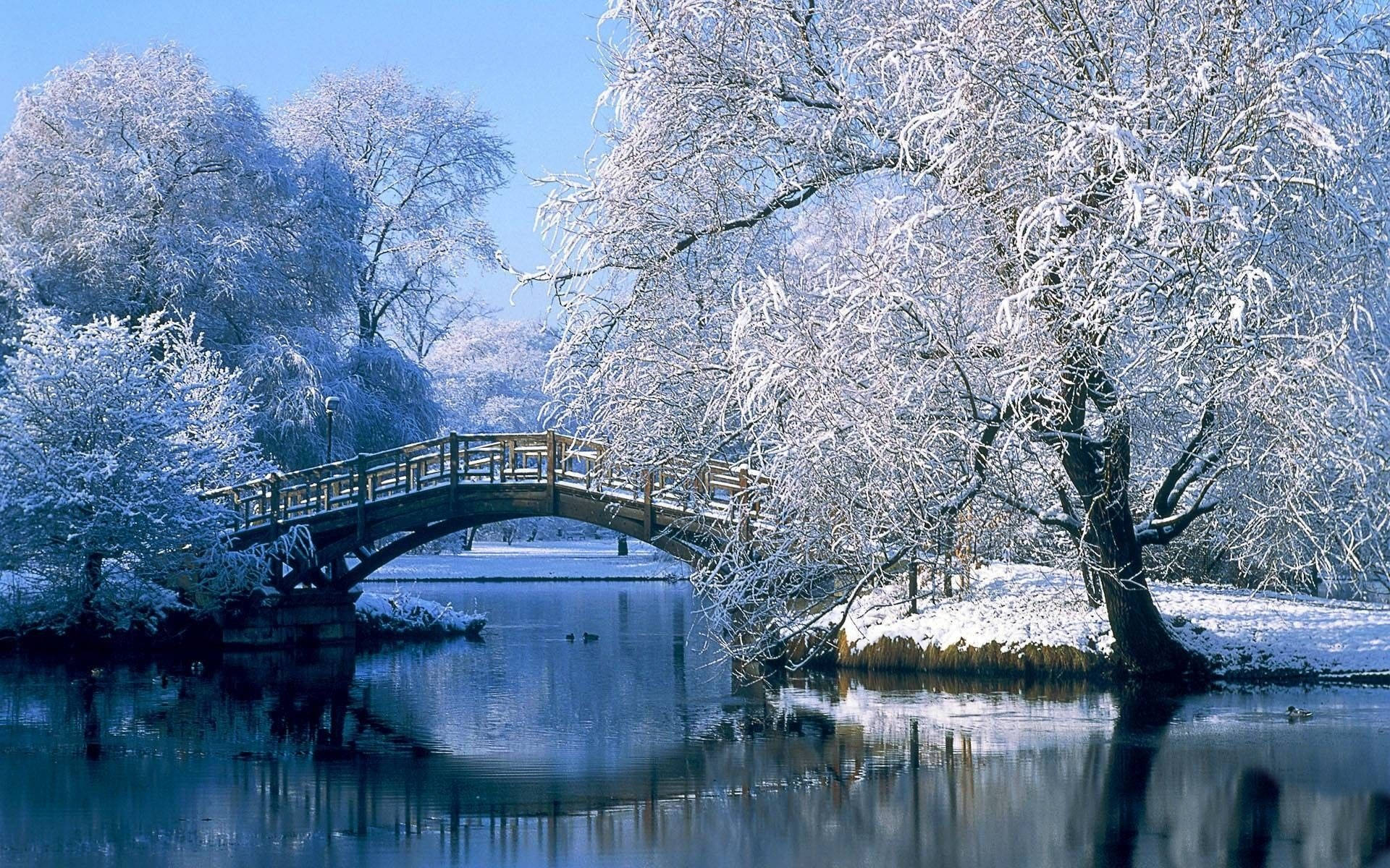 Download Peaceful Winter Desktop Wallpaper