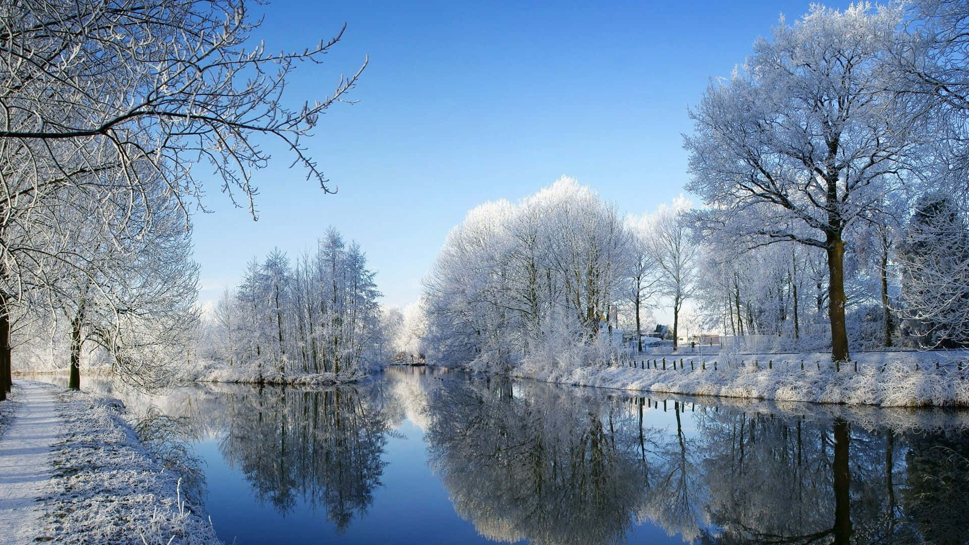 Download A Peaceful Winter Scene