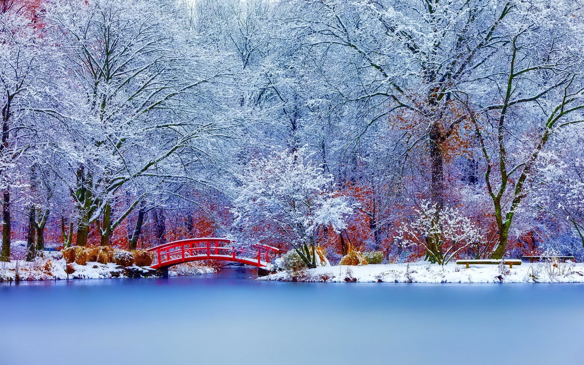 Winter Bride: A Serene HD Wallpaper of a Snowy Lake and Trees