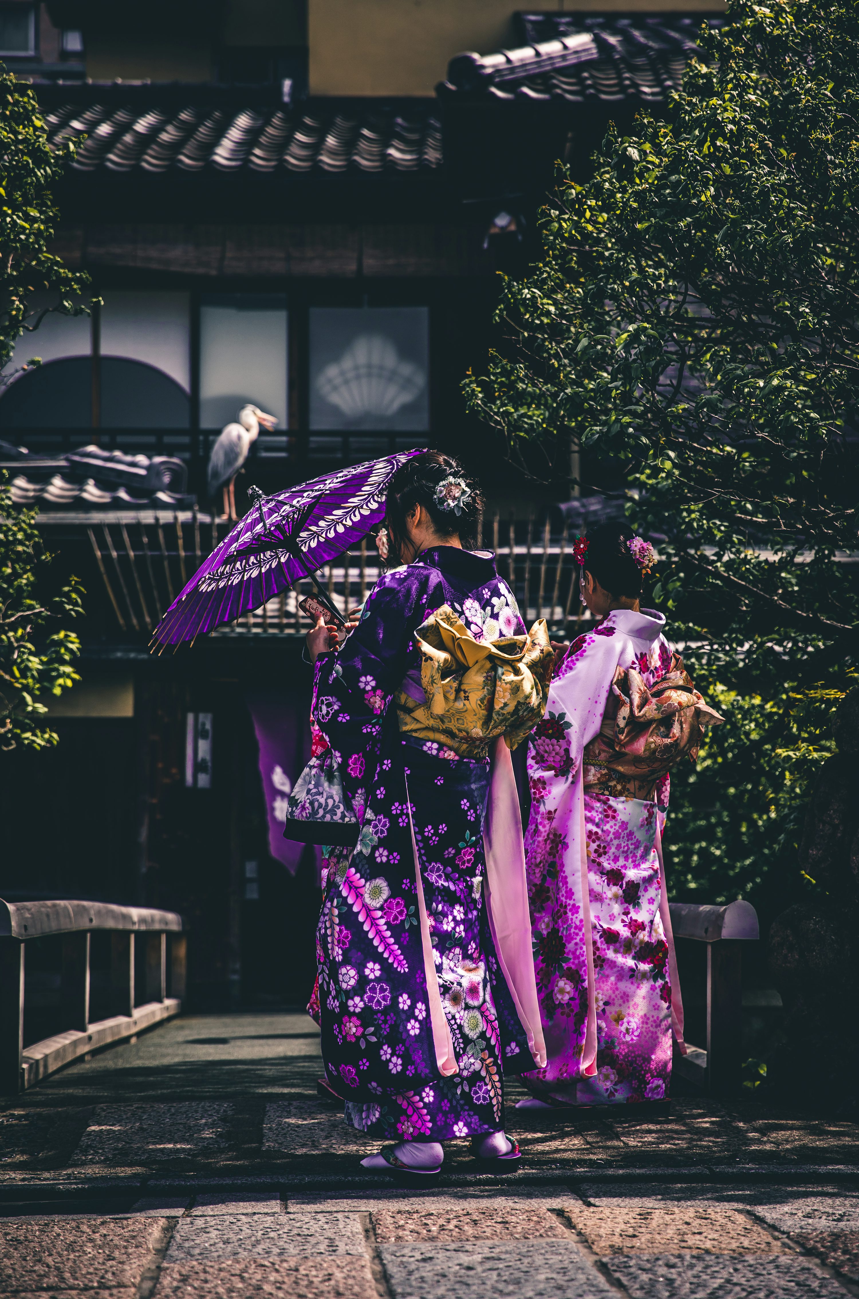 Two women in purple and pink kimono photo