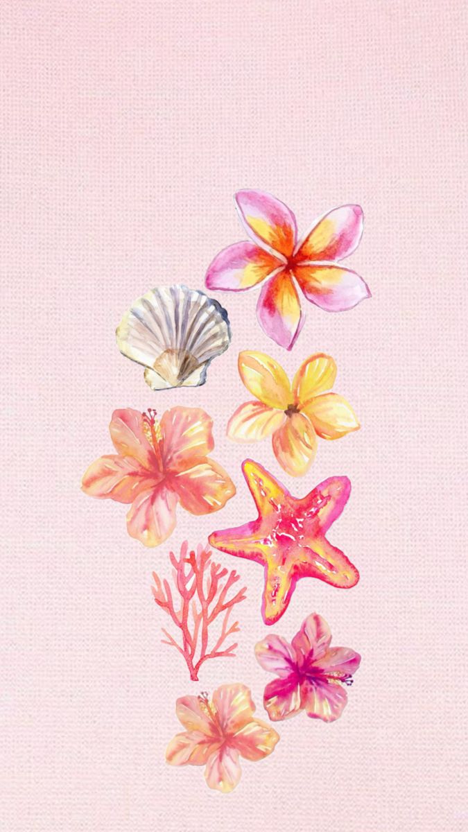 Pink, seashell, hibiscus, flower, sea