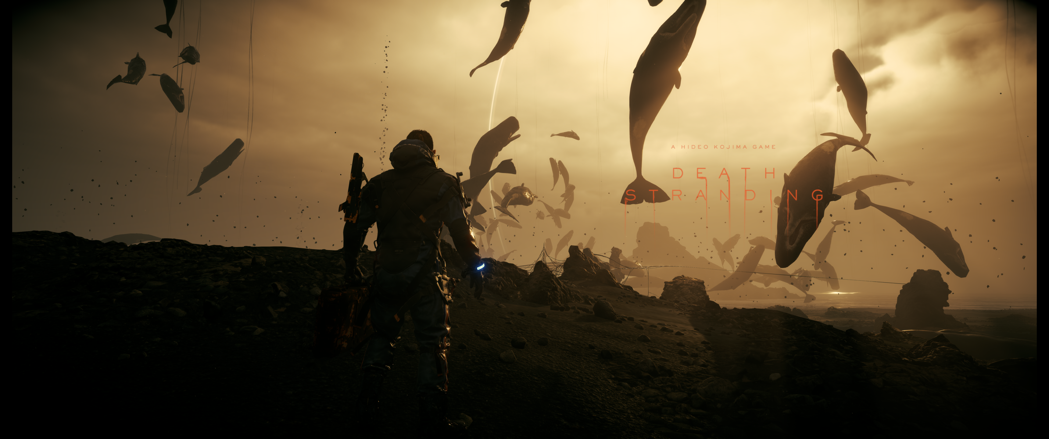 Death Stranding Background (Spoilers Chapter 9)
