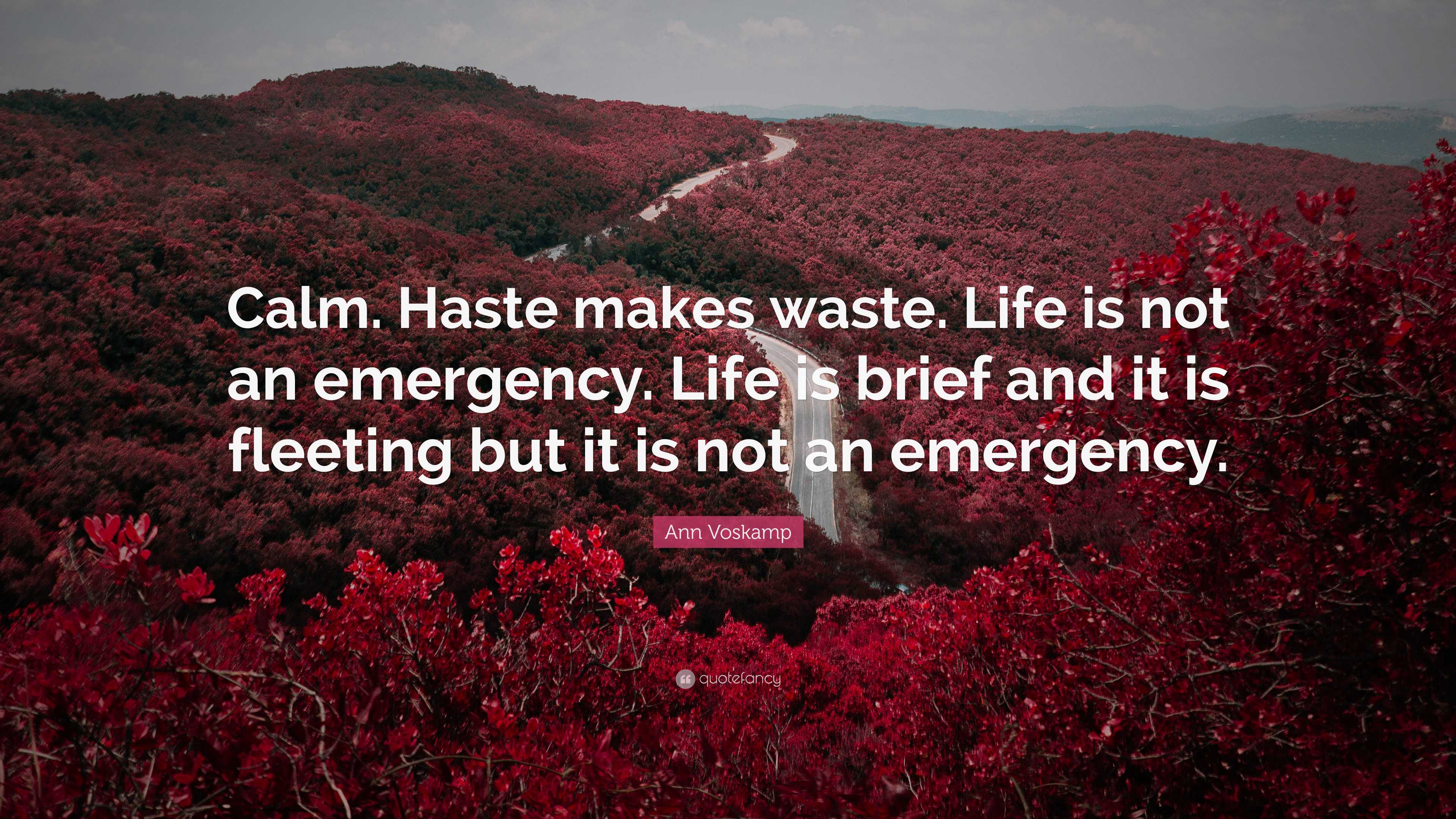 Ann Voskamp Quote: “Calm. Haste makes waste. Life is not an emergency. Life is brief and
