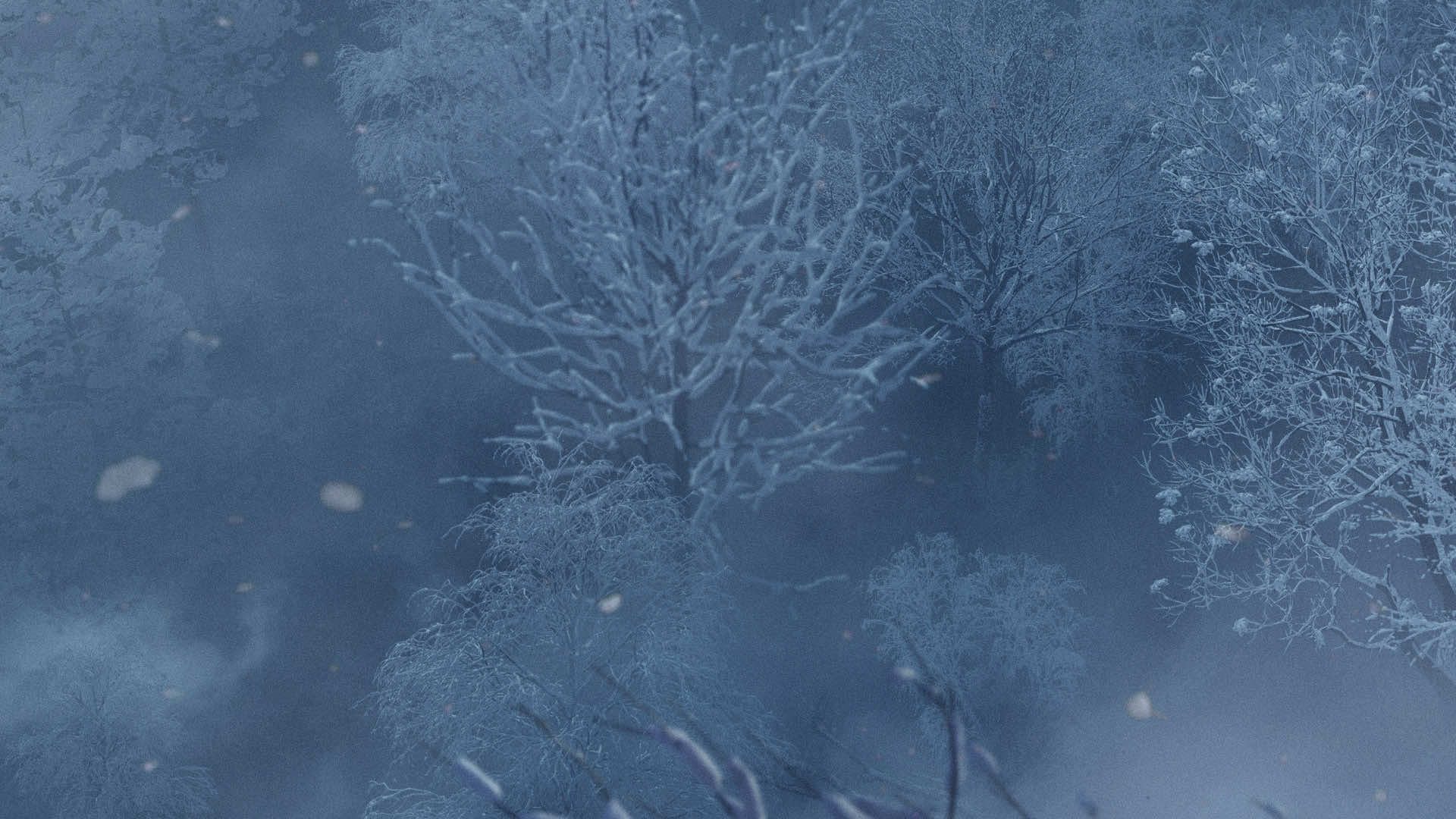 Two Dots · Creative Studio Legacy Winterized Version