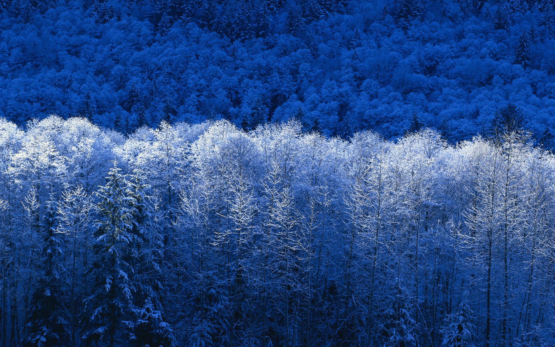 Since it's close to Christmas, I took all the picture from Windows which are Winter related!