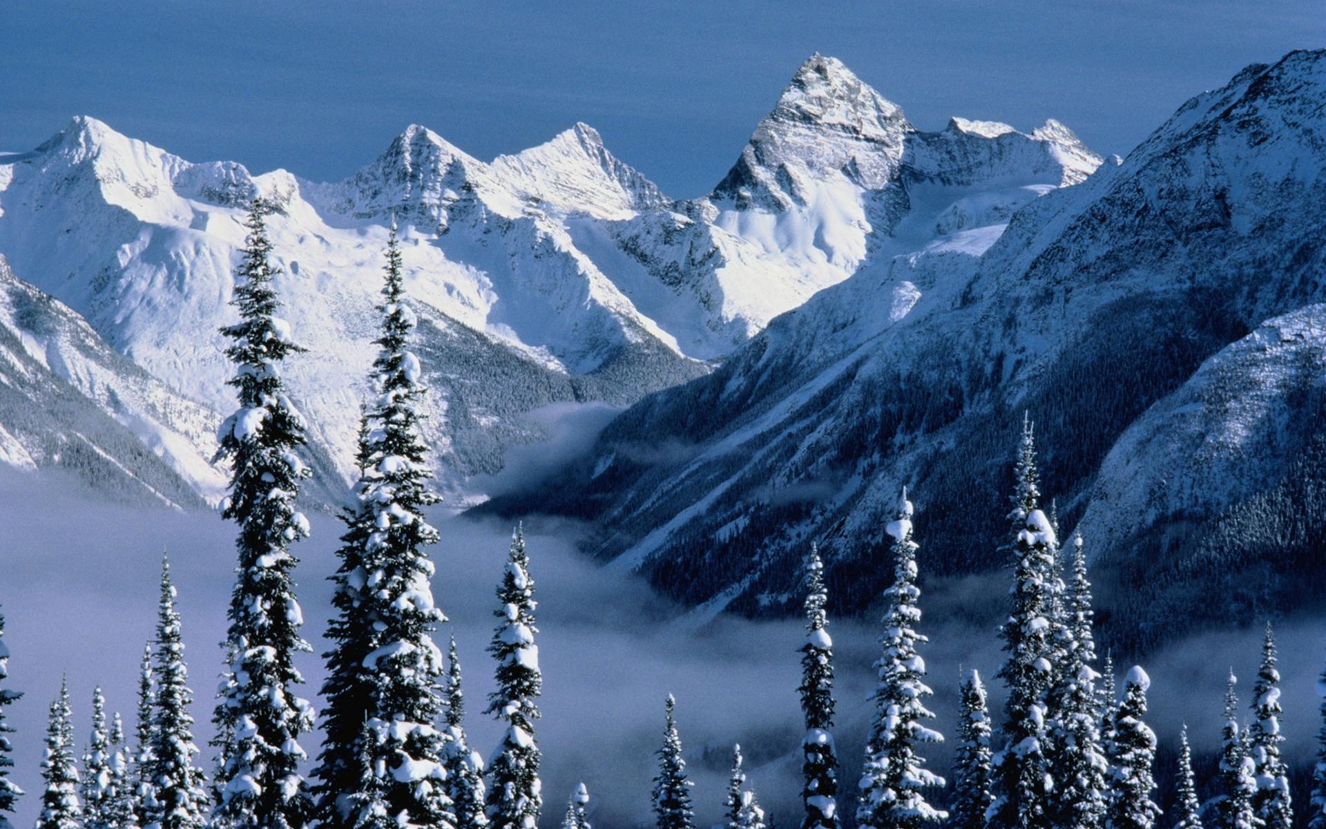 Since it's close to Christmas, I took all the picture from Windows which are Winter related!