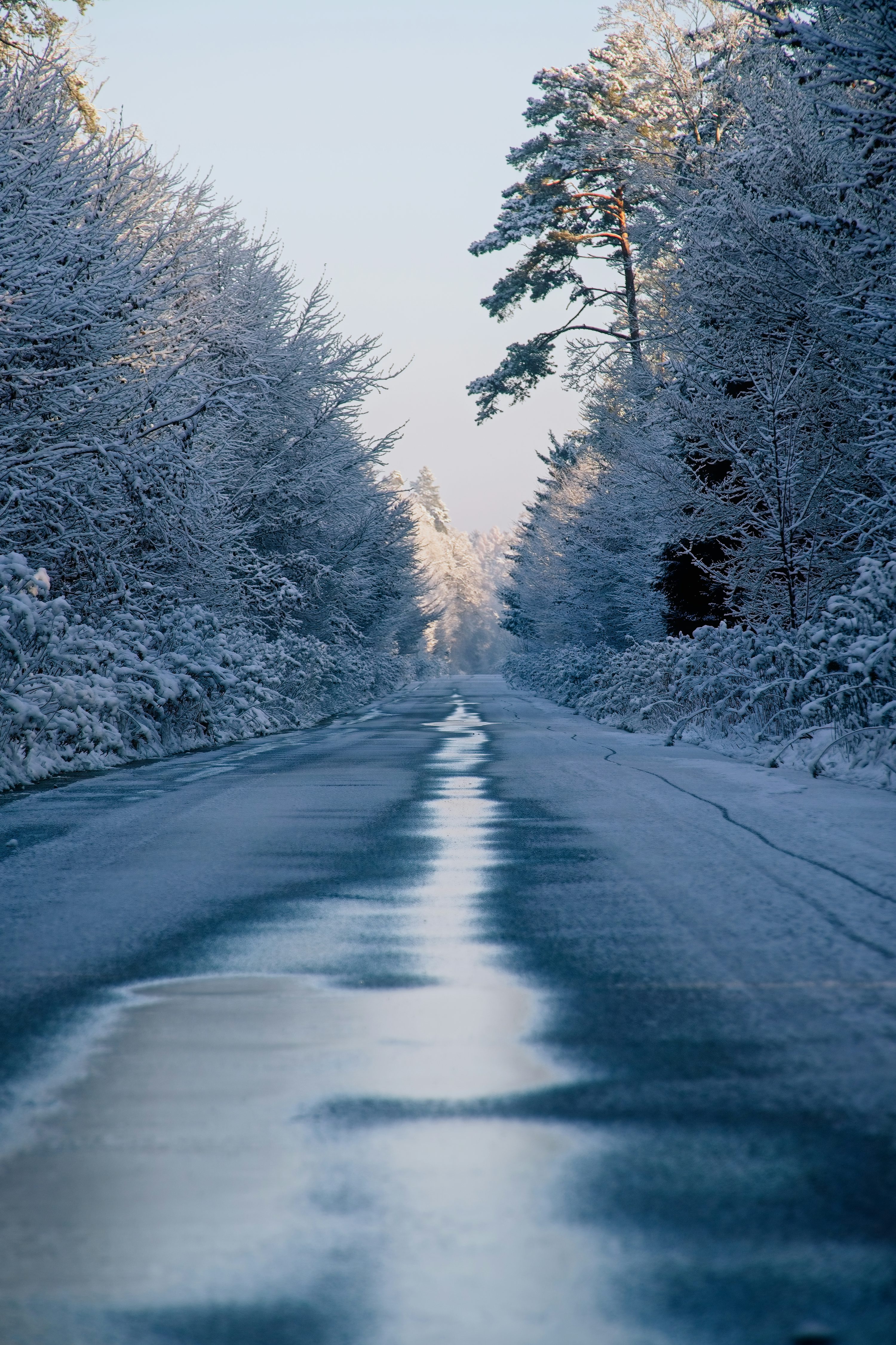 Black asphalt road between brown trees covered with snow during daytime photo