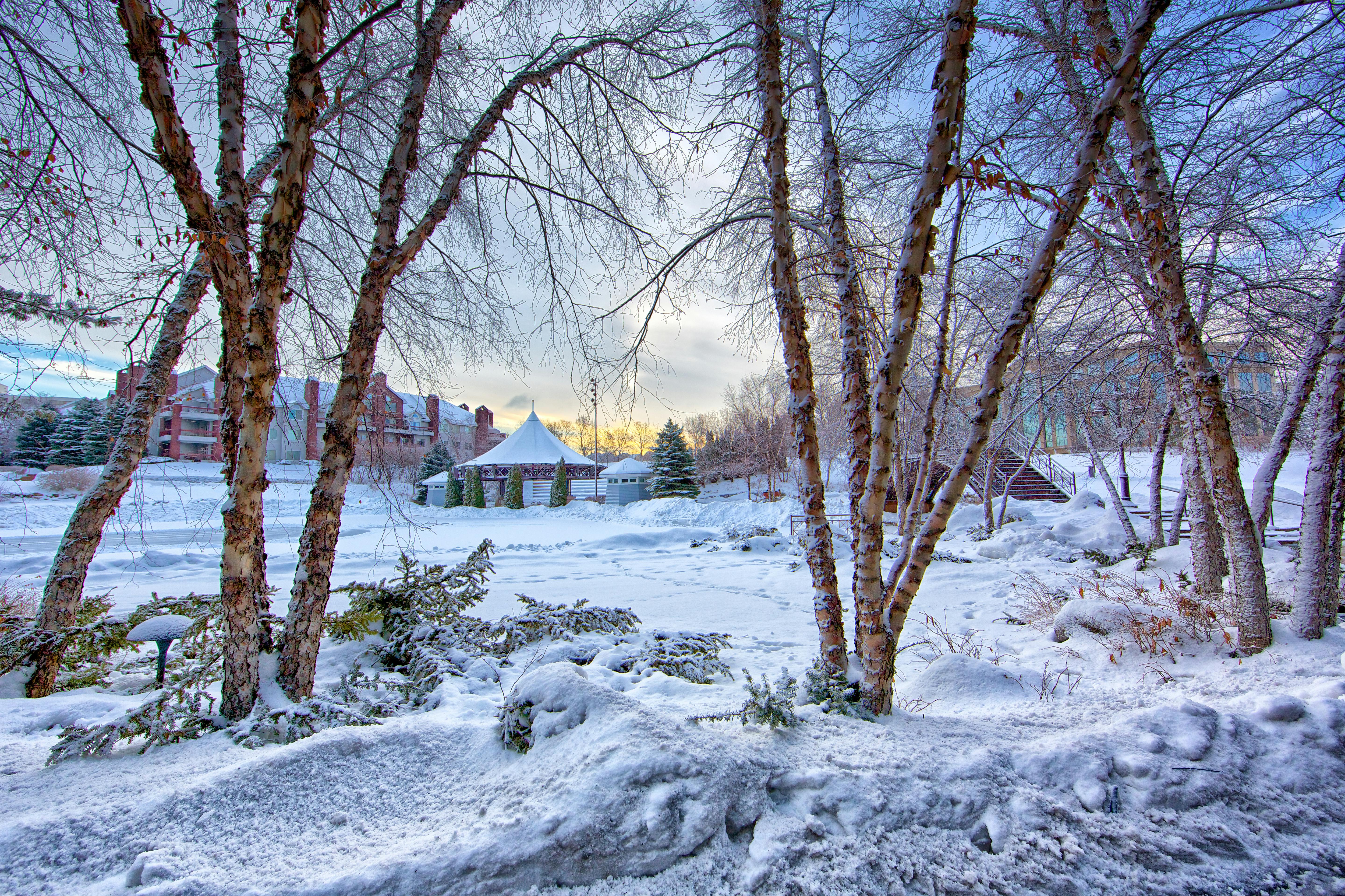 Winter Scenes Photo, Download The BEST Free Winter Scenes & HD Image