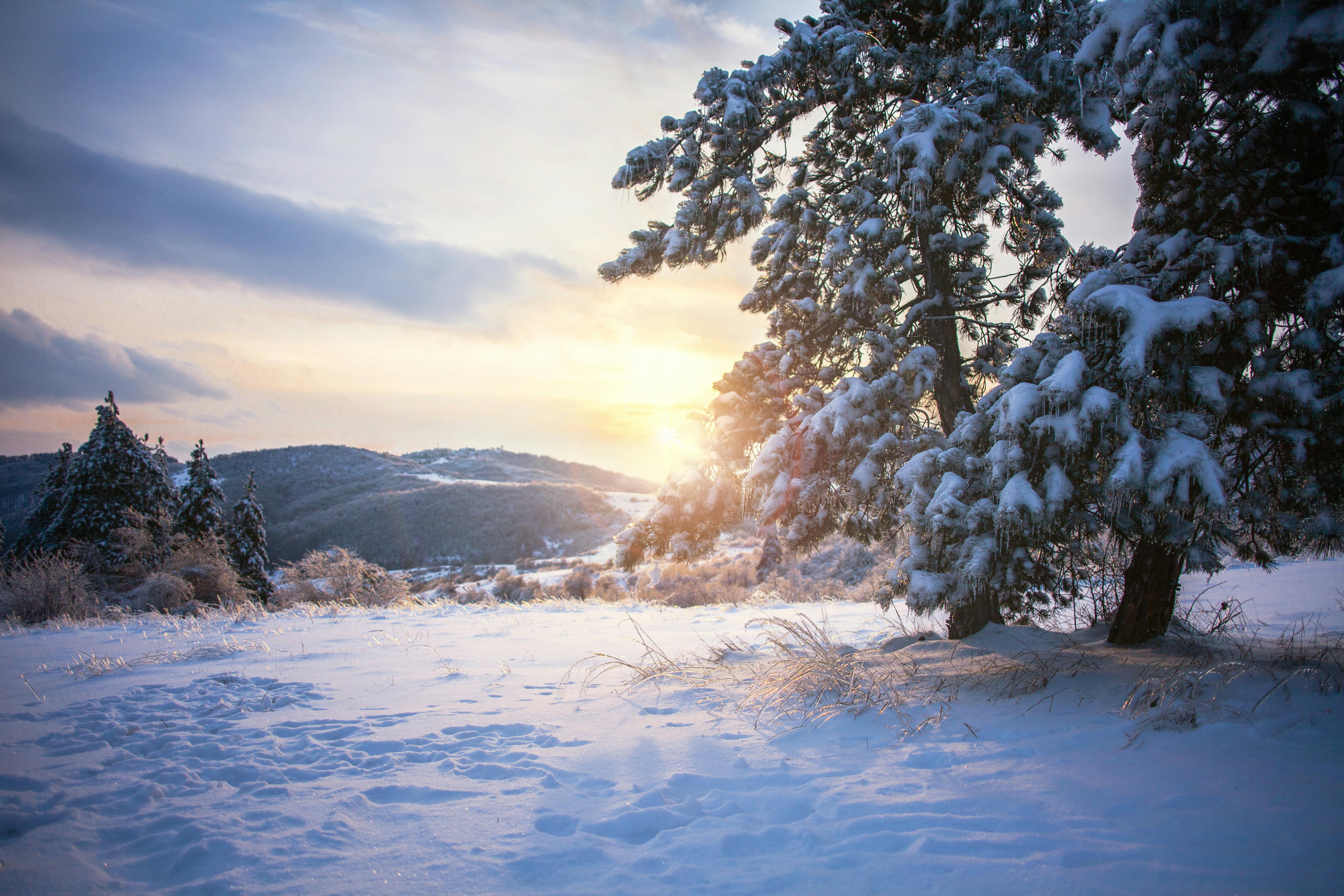 A Beautiful Landscape during Winter · Free