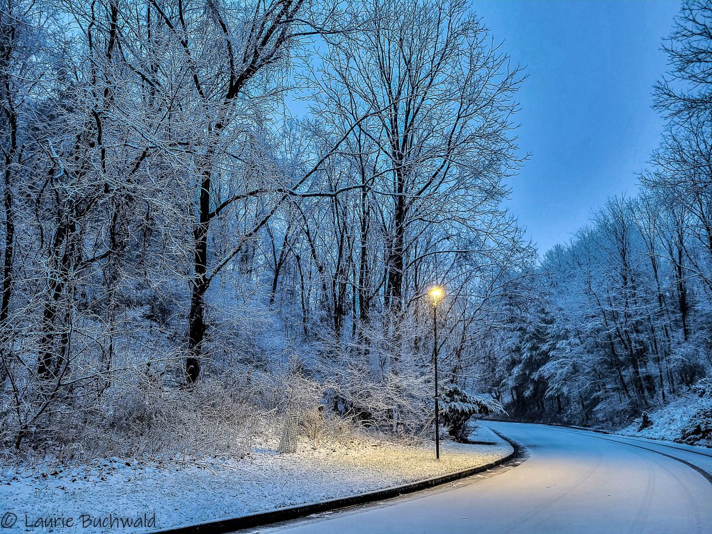 Cold and Wet: Happiness is Snow. Life on the Bike and other Fab Things