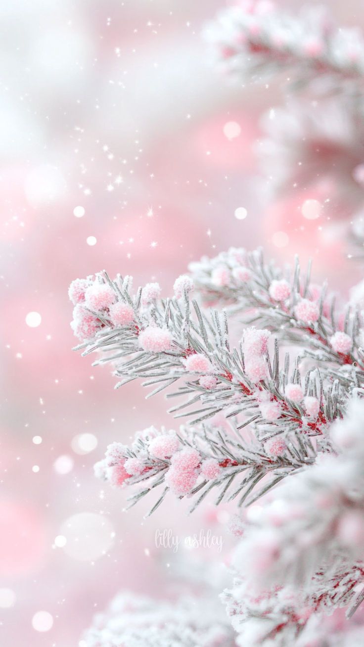 Winter Pink Snow Wallpapers - Wallpaper Cave