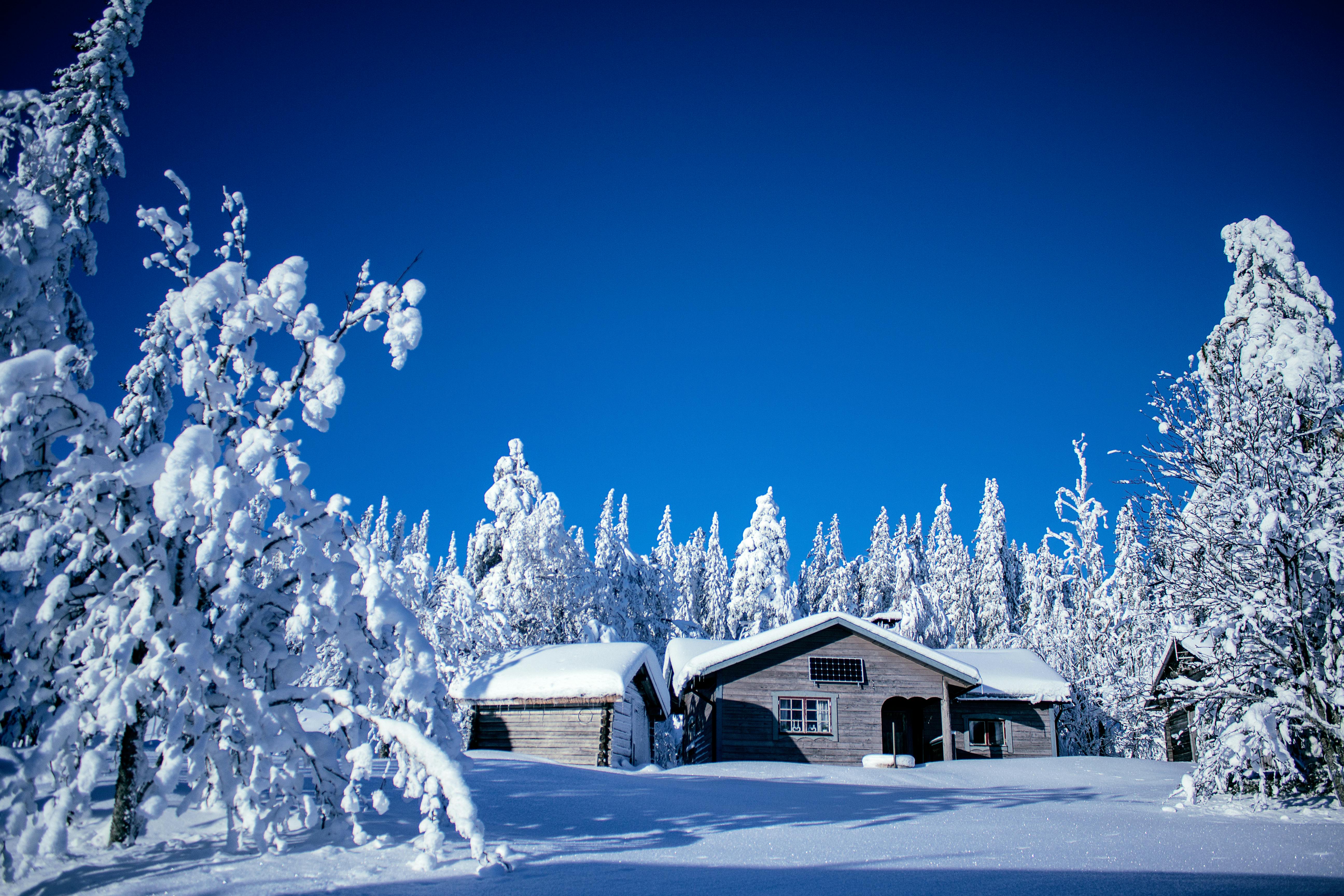 A Cabin during Winter · Free