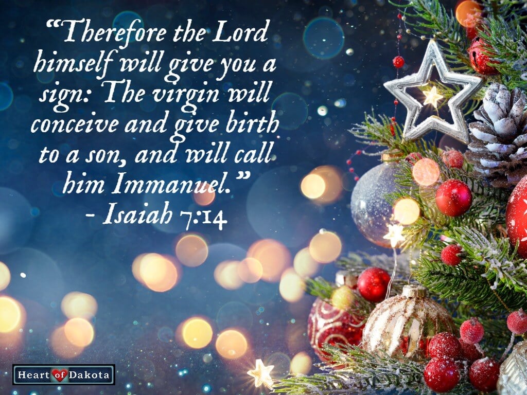is almost over. Merry Christmas and Happy New Year! of Dakota Christian Homeschool Curriculum