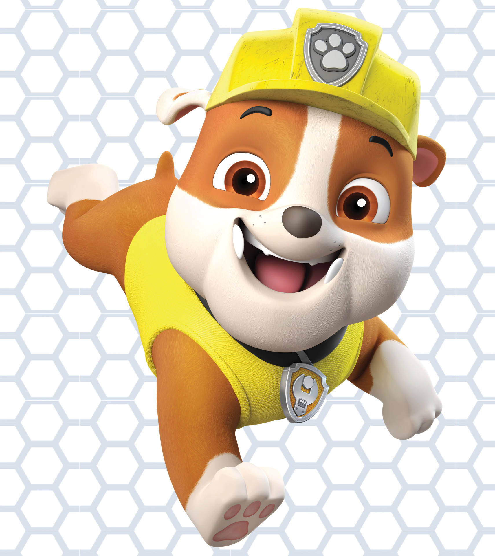 Download Paw Patrol Rubble Wallpaper