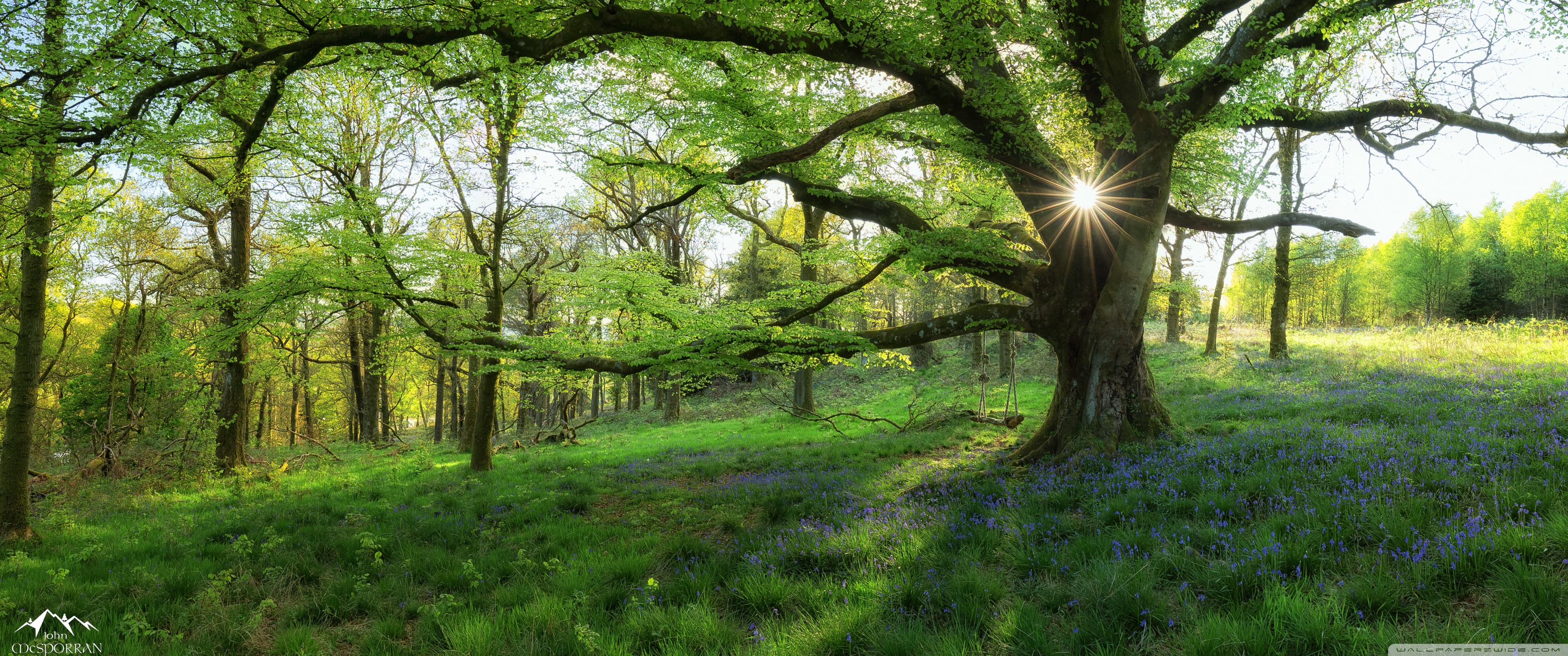 Most Beautiful Spring Landscapes On Earth 4K UHD Wallpaper for UltraHD Desktop and TV, Widescreen and UltraWide Display, Dual Monitor, Smartphone and Tablet Devices