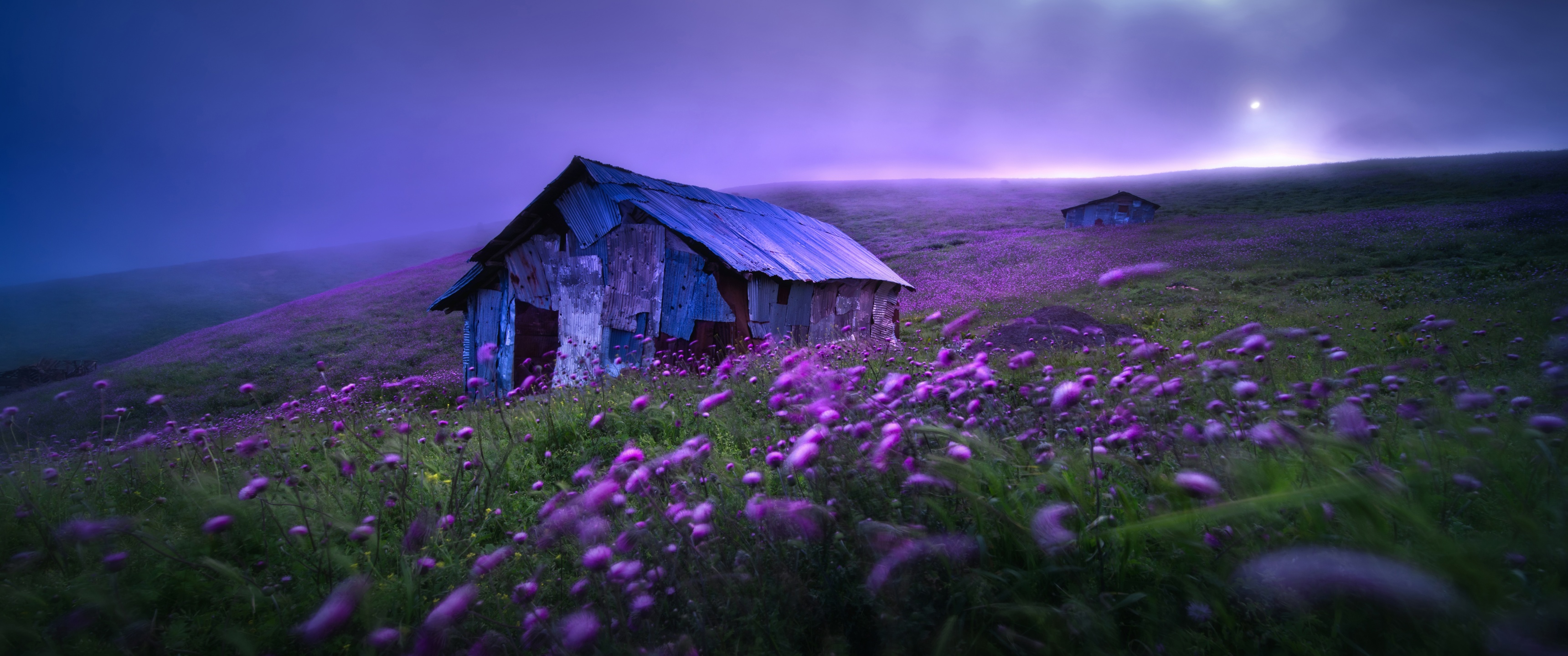 Landscape Wallpaper 4K, Spring, Violet flowers, Scenic