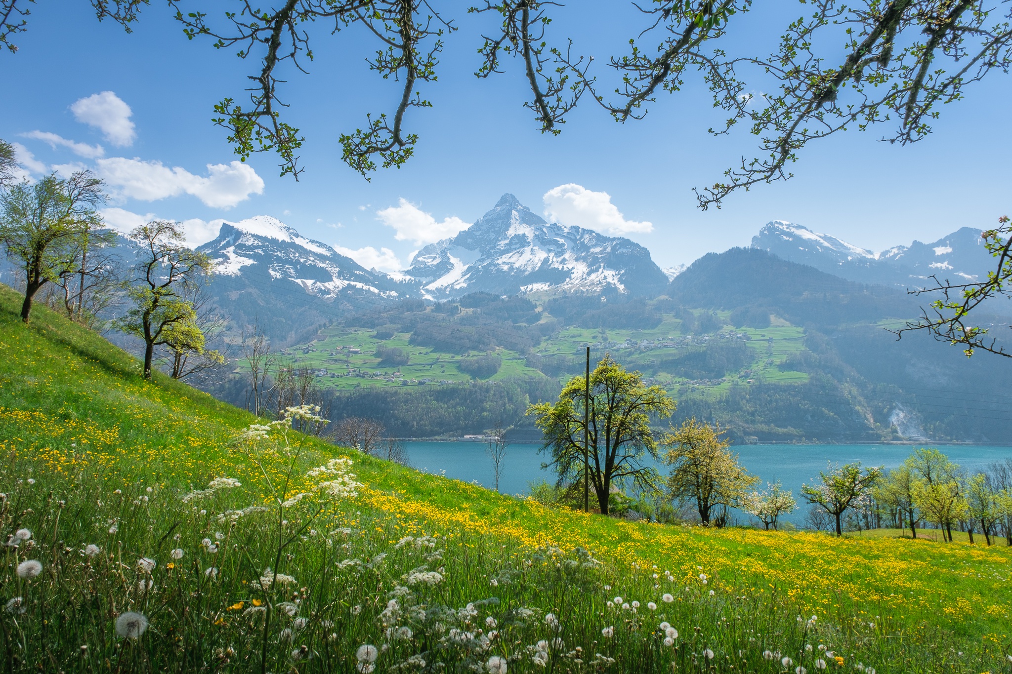 Wallpaper landscape, mountains, nature, lake, spring, Switzerland, slope, flowering for mobile and desktop, section пейзажи, resolution 2048x1365