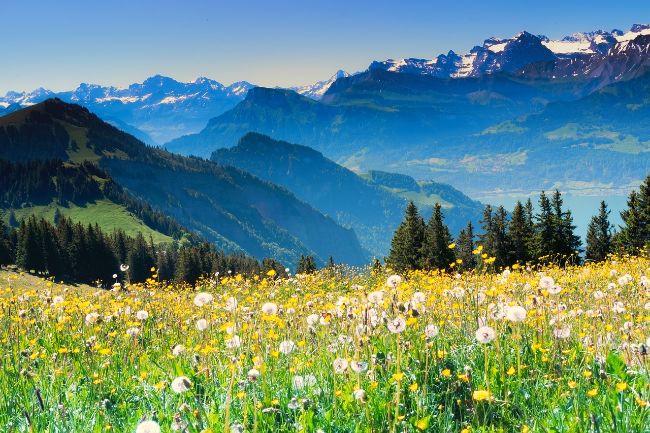 Switzerland Alps Swiss