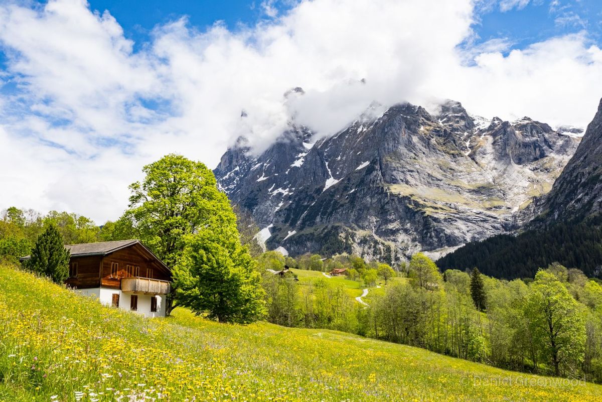 Swiss Alps: Grindelwald's magnificent meadows