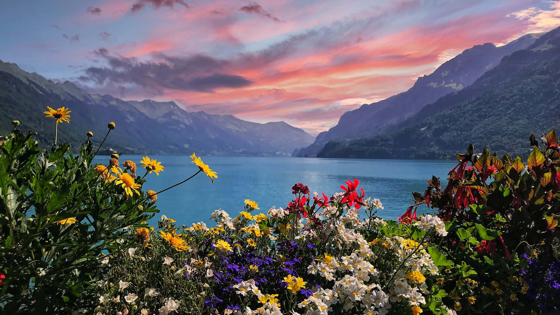 Download Stunning Swiss Landscape Panorama