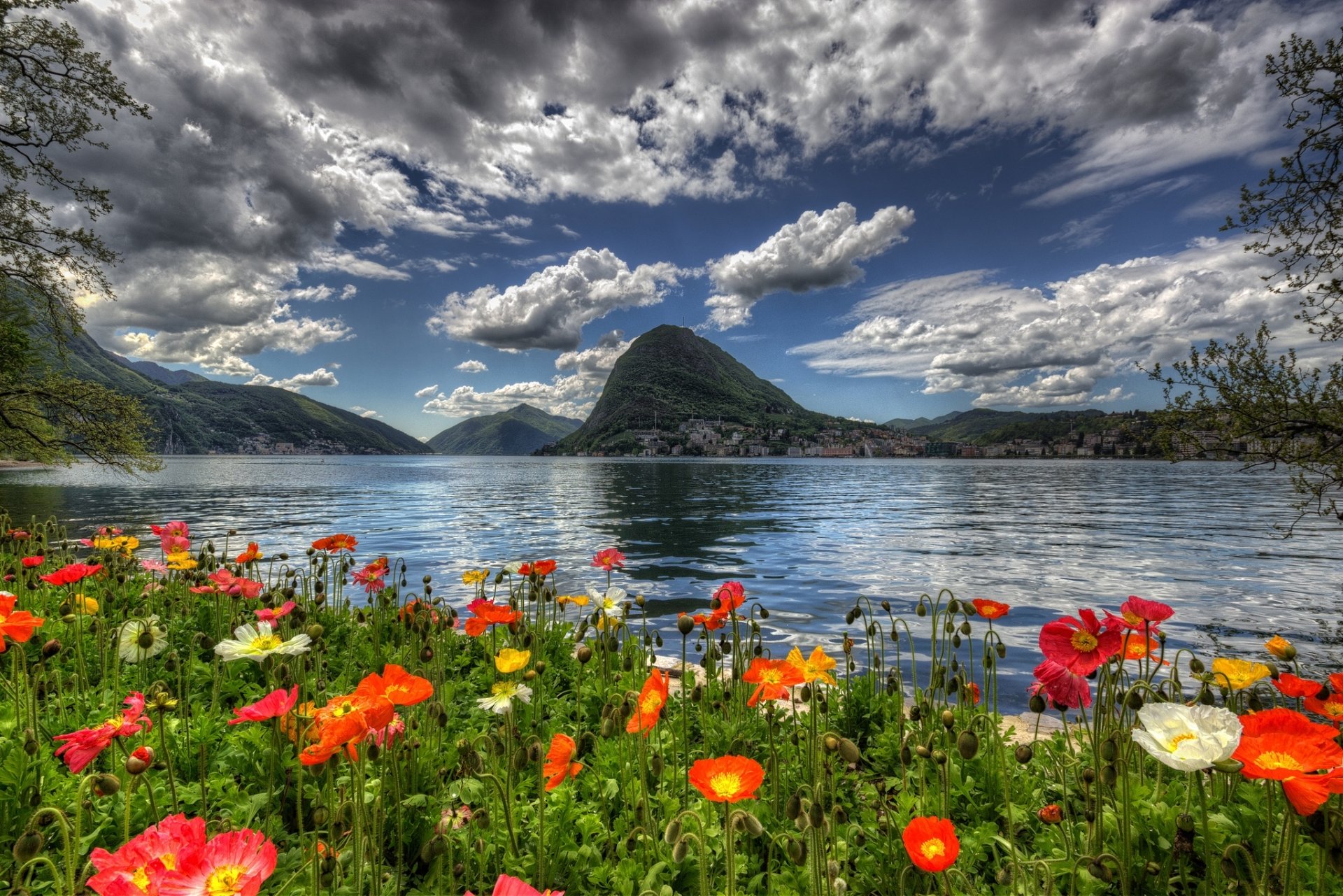 Stunning Swiss Landscape: Mountain, Lake, and Flowers
