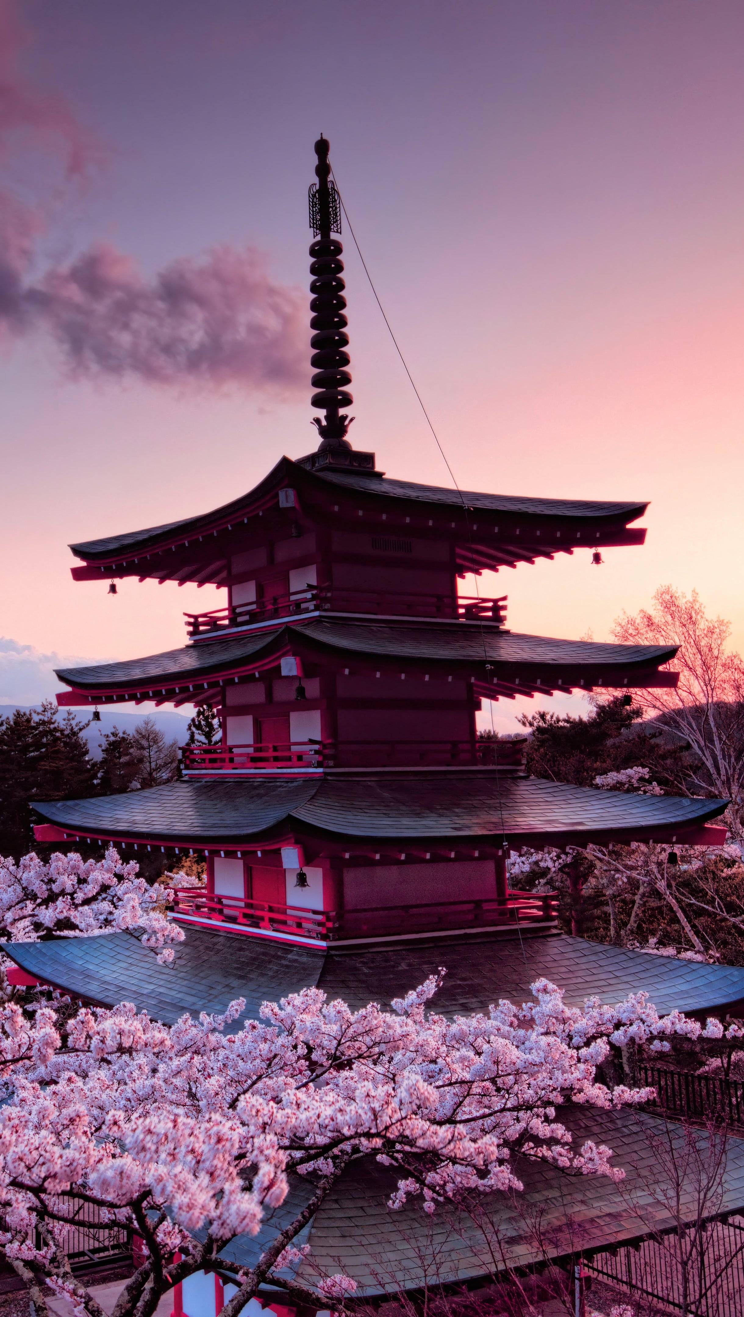 Cherry blossom japanese castle in mount Fuji Wallpaper 8k for iPhone and Mobile Phone