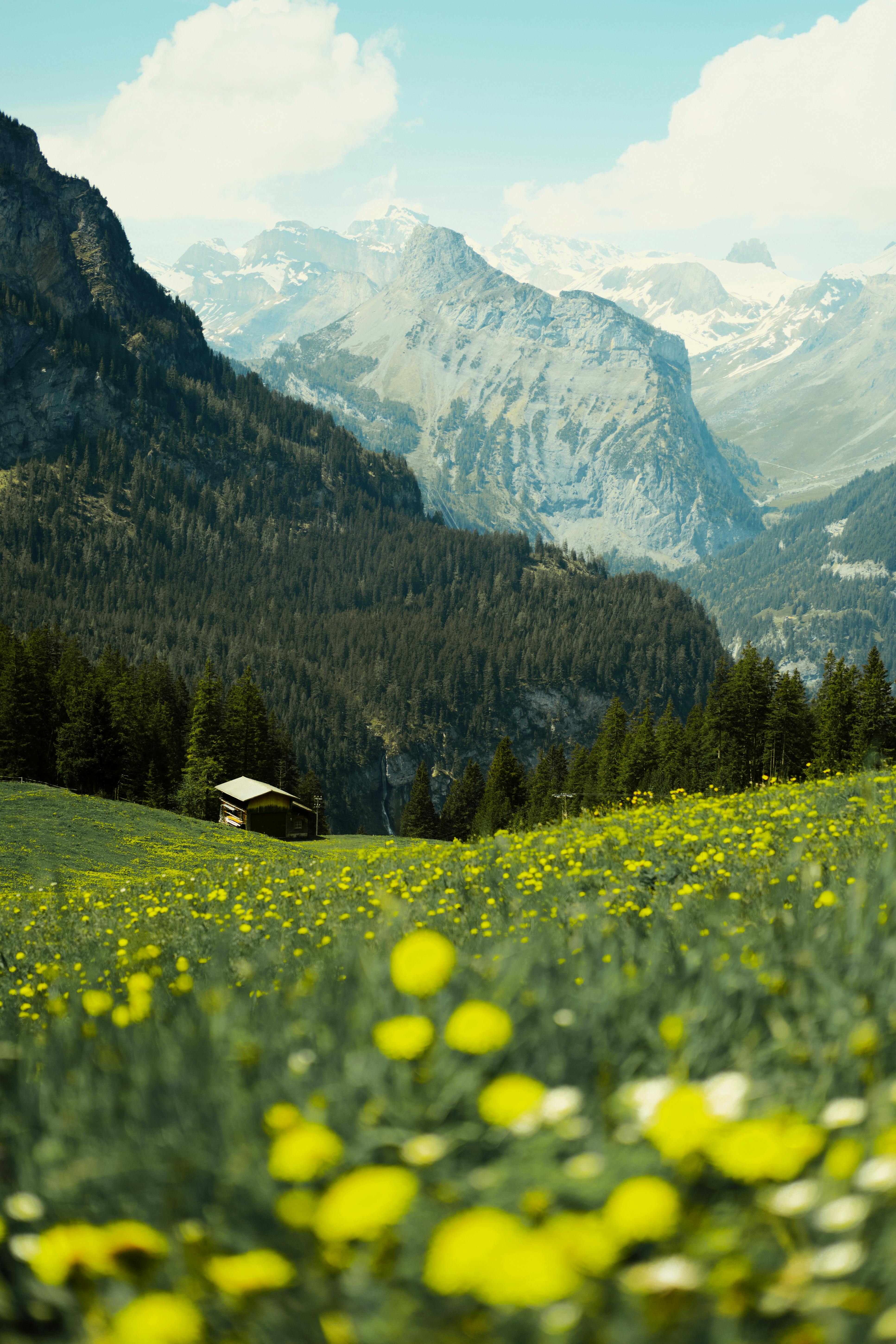Central Switzerland Photo, Download The BEST Free Central Switzerland & HD Image