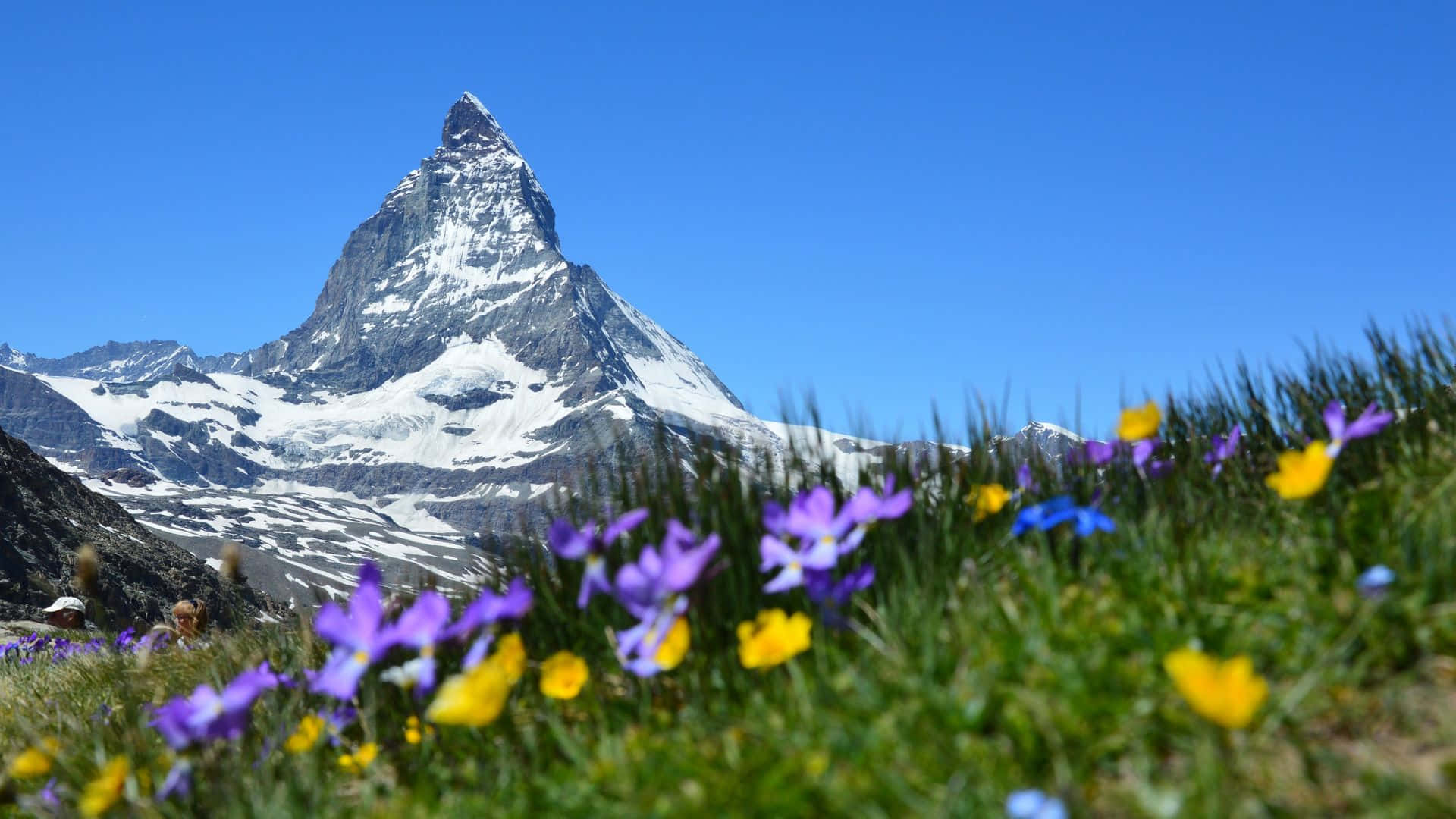 Download Majestic Swiss Alps with a scenic lake