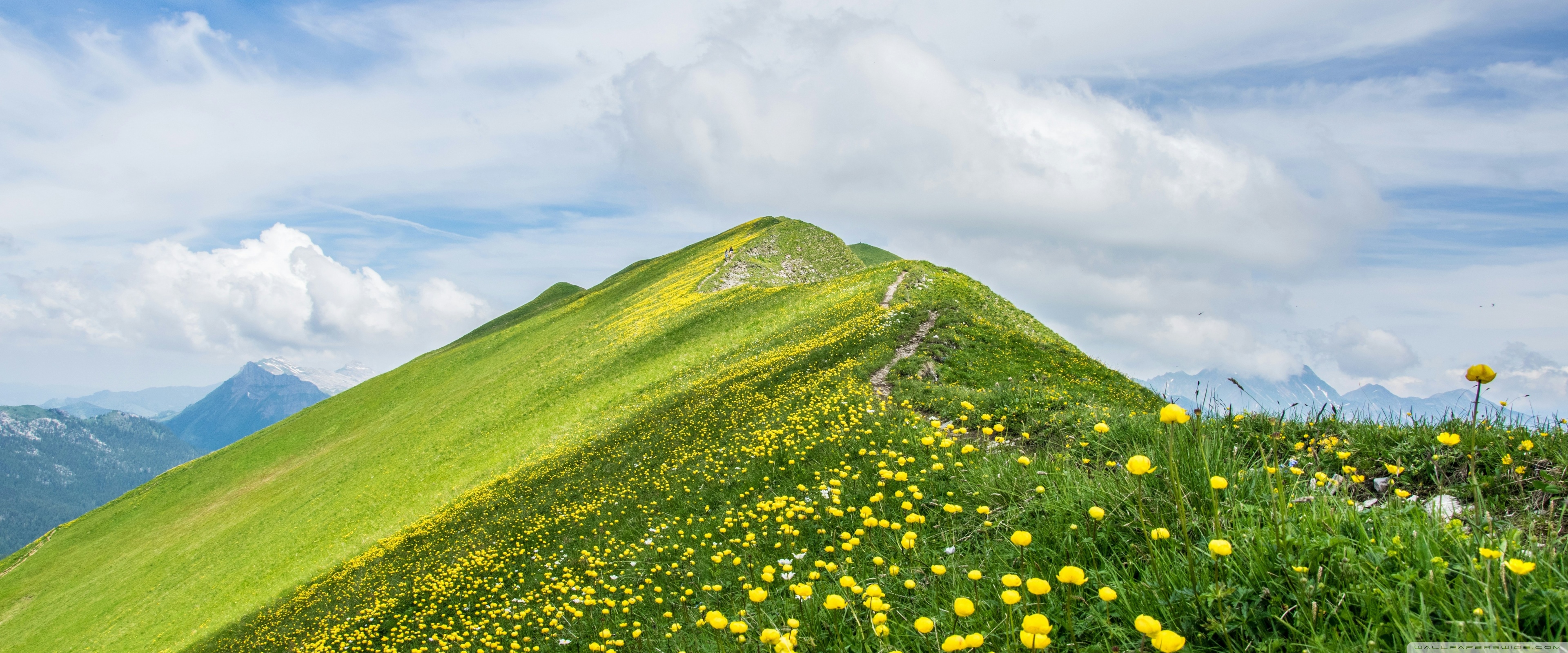 Mountain, Peak, Spring, Yellow Flowers, Wildflowers, Nature, Hike 4K UHD Wallpaper for UltraHD Desktop and TV, Widescreen and UltraWide Display, Smartphone and Tablet Devices