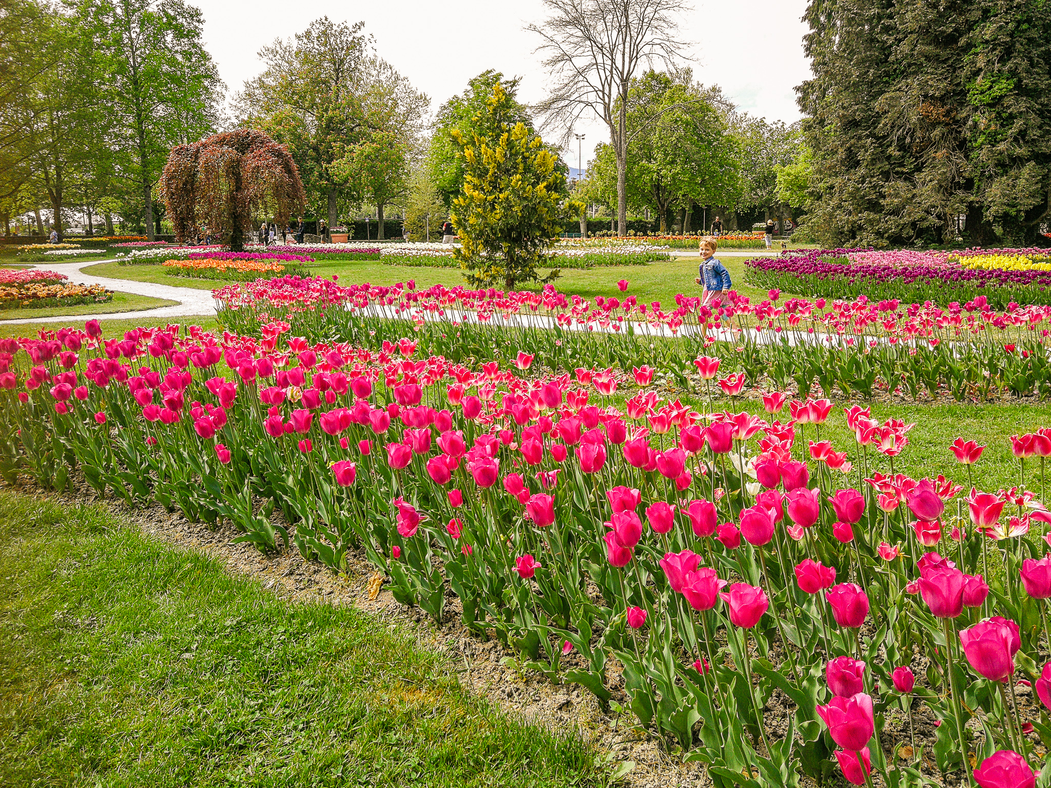 blooming spring trip destinations in Switzerland Swiss experience