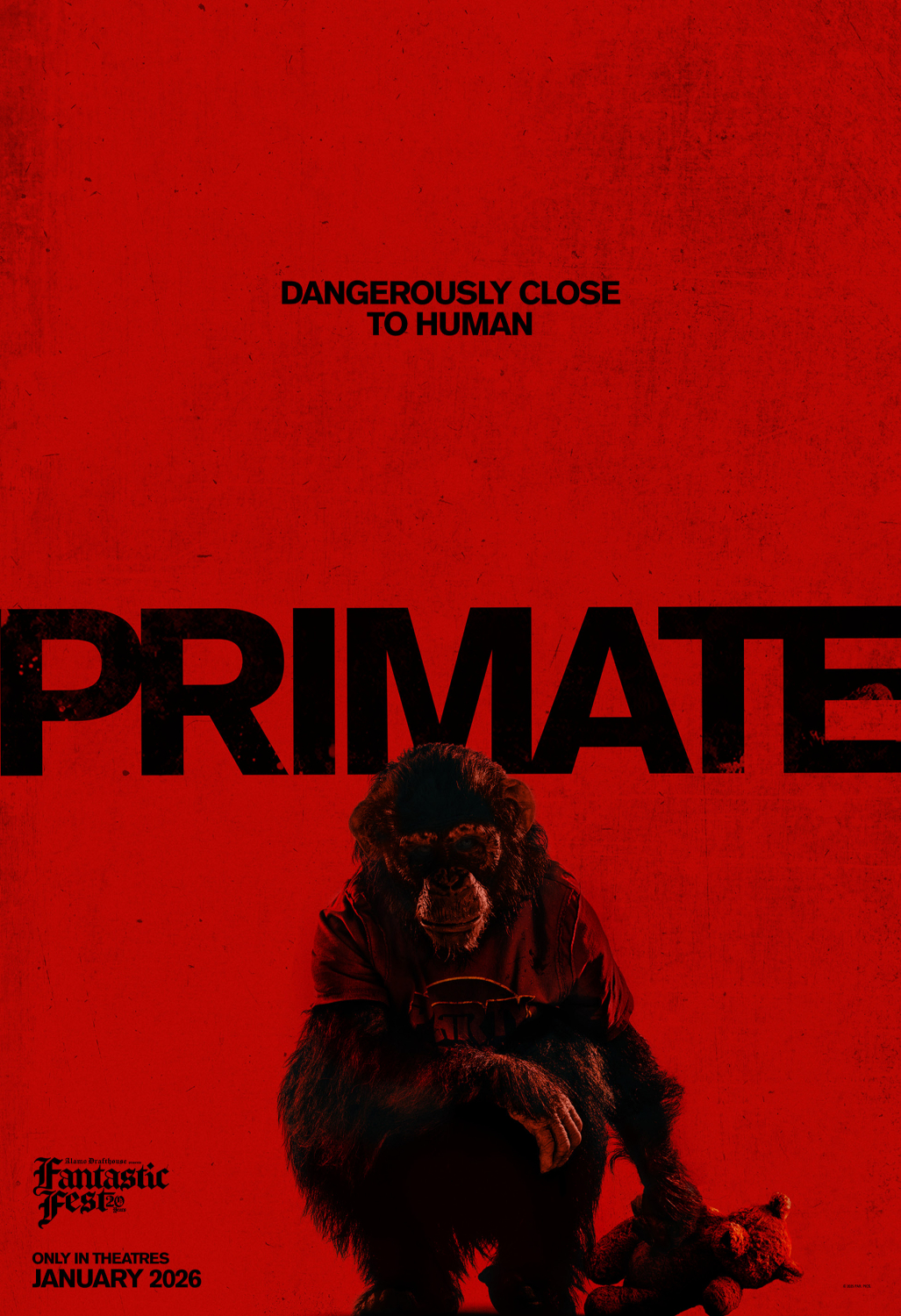 Primate ( of 3): Extra Large Movie Poster Image