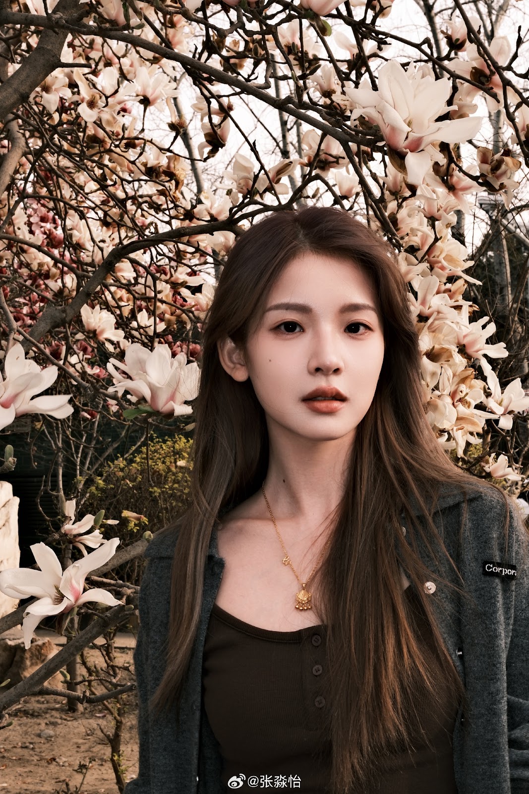 China Entertainment News: Zhang Miaoyi at promo event