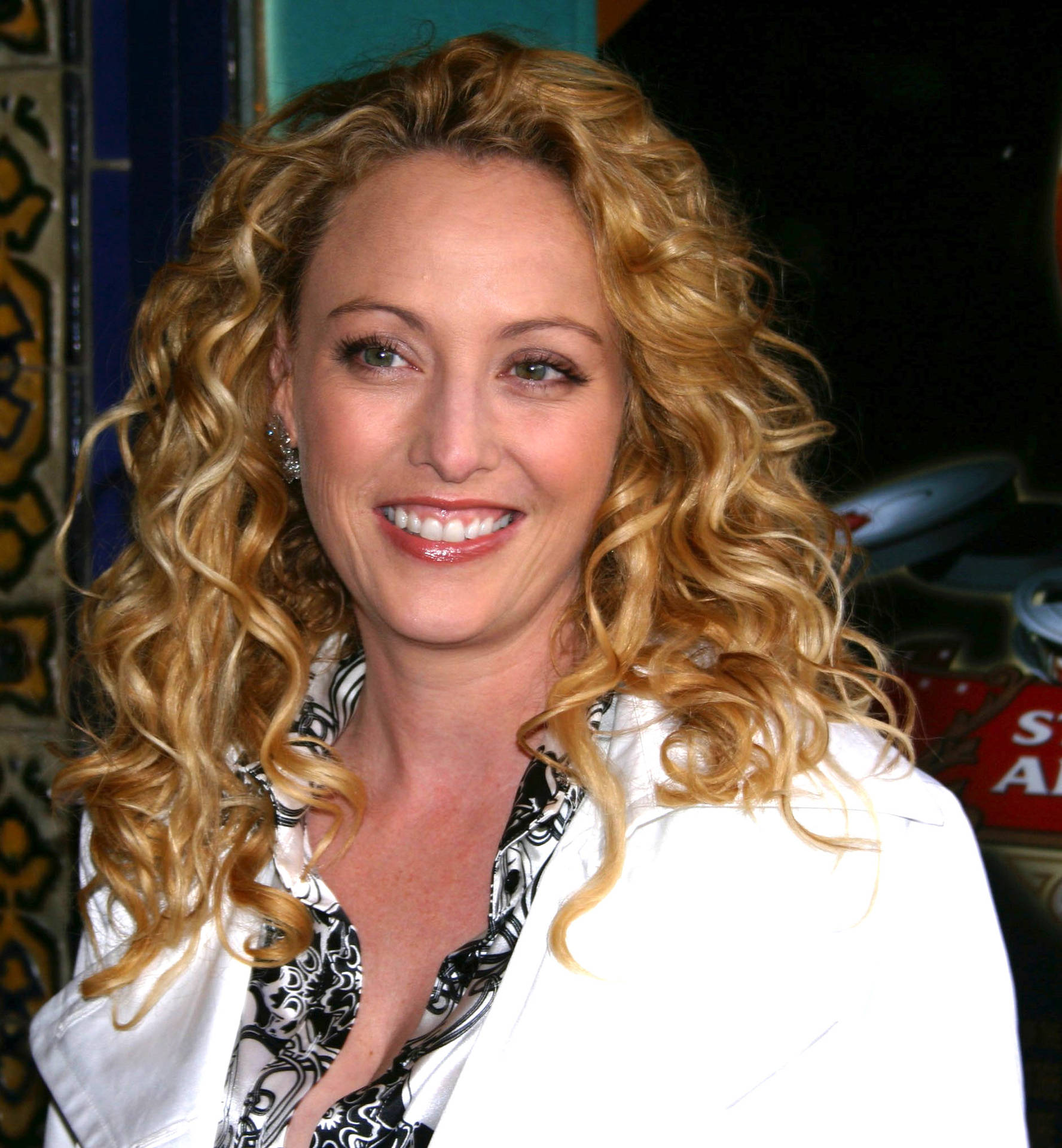 Download Virginia Madsen Hollywood Celebrity Actress Wallpaper
