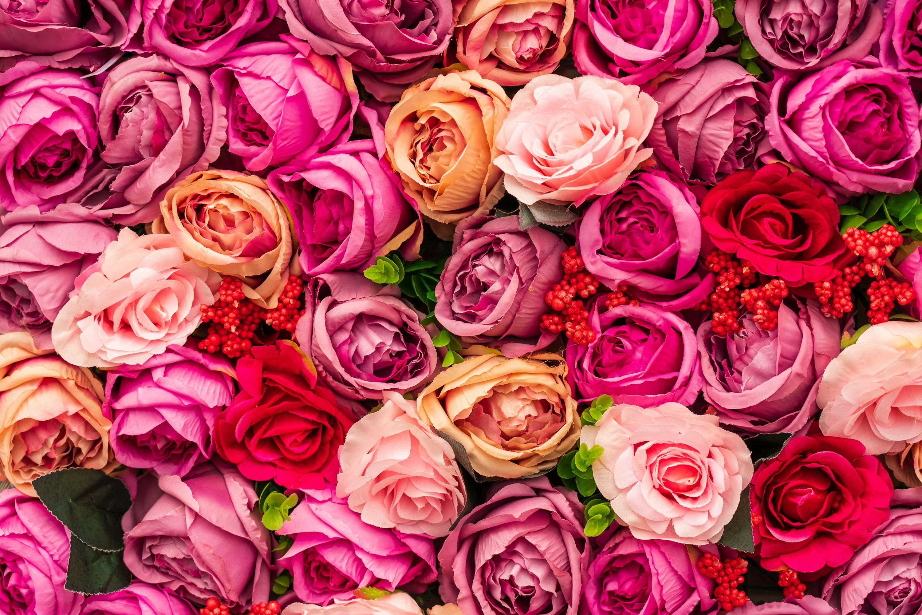 Valentines Day Wallpaper: Free HD Download [4K]