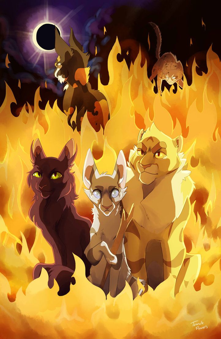 Discover 13 Power of three and warrior cats art ideas. warrior cats, warrior cats series, warrior cat and more