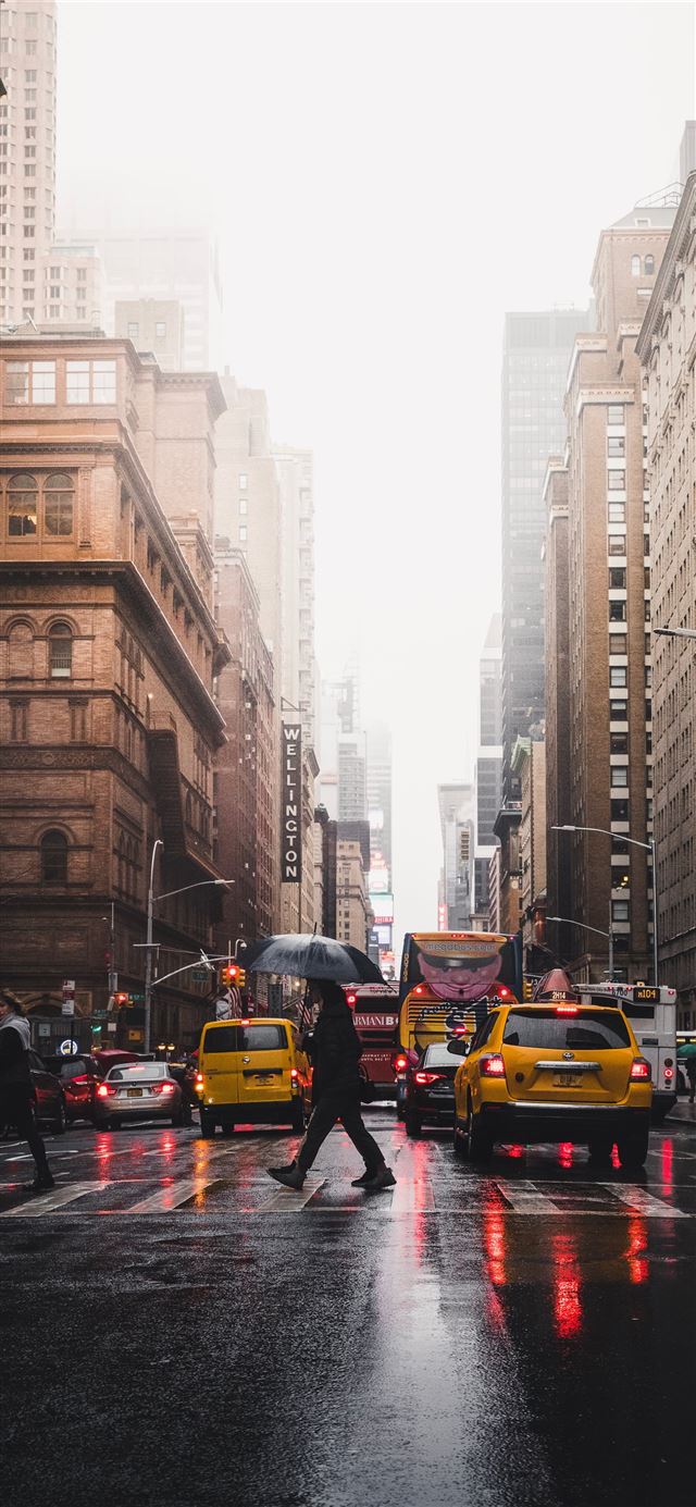 Latest Rain iPhone 11 HD Wallpaper