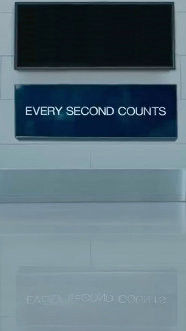 The bear iPhone wallpaper