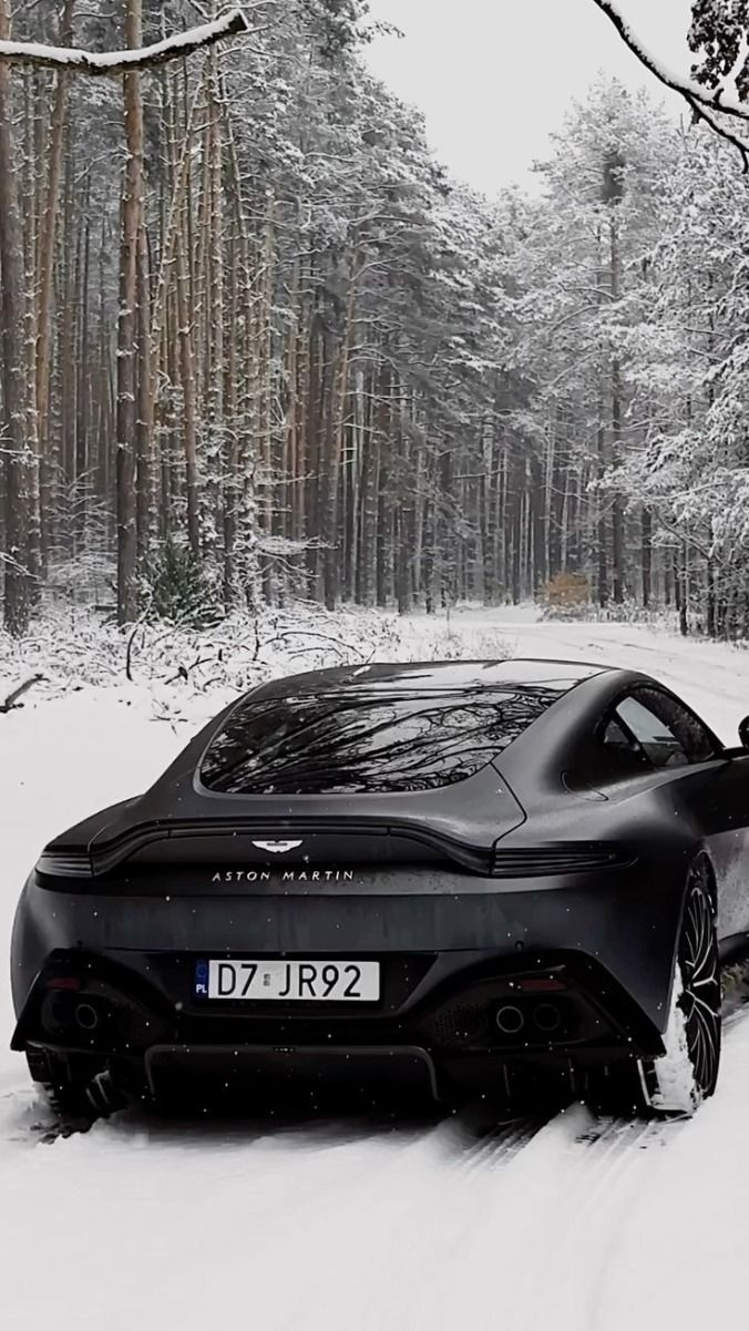 Aston martin Luxury aesthetic organization