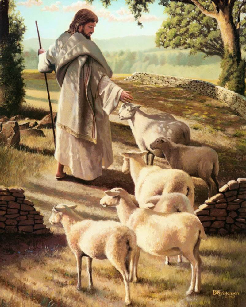 Jesus the Good Shepherd Image