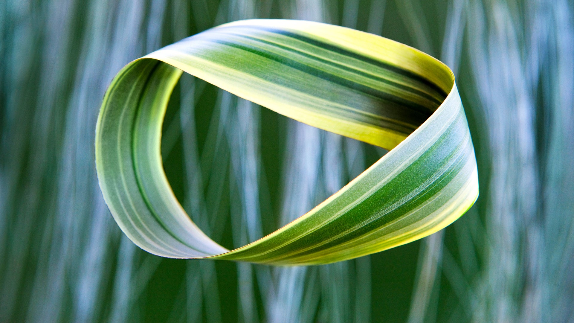 The Timeless Journey of the Möbius Strip