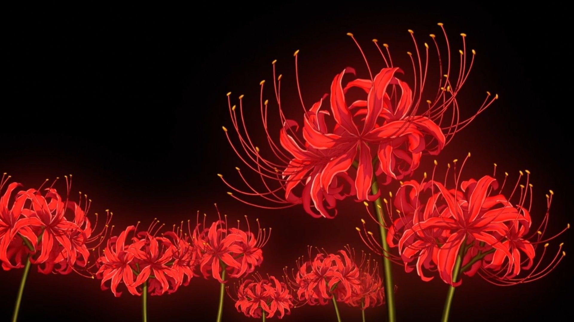Crimson Spider Lilies Blooming in Darkness Anime Inspired Floral Wallpaper